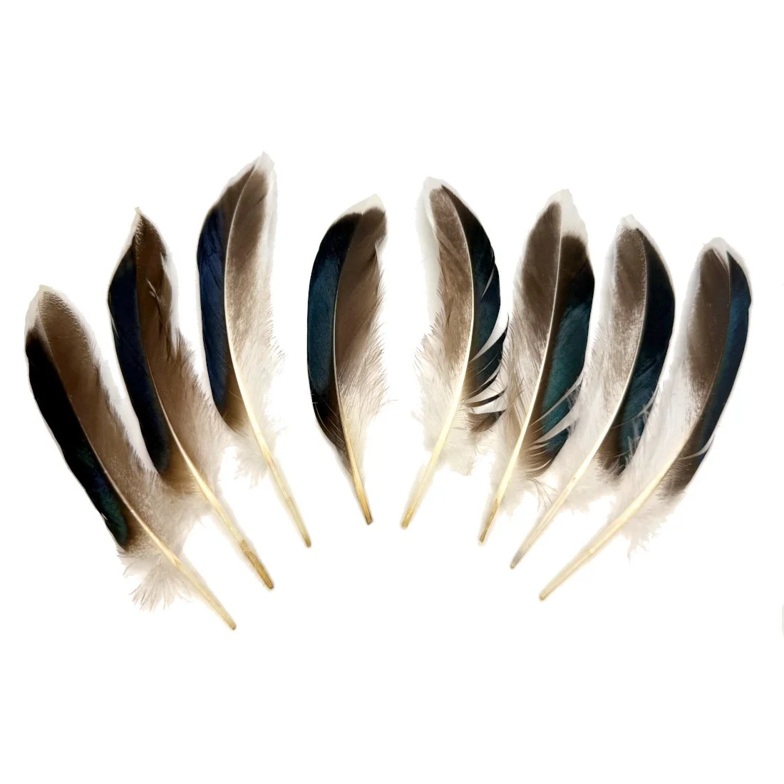 Mallard Duck Coverts 4-4.5" - per 1/4 lb