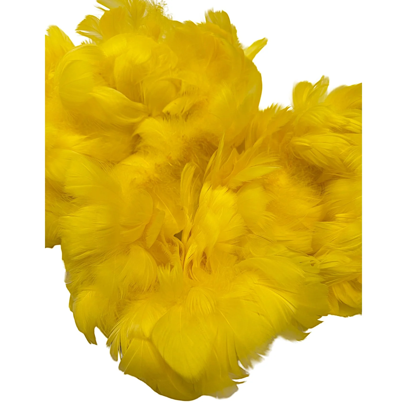 SGCyellow2b.jpg