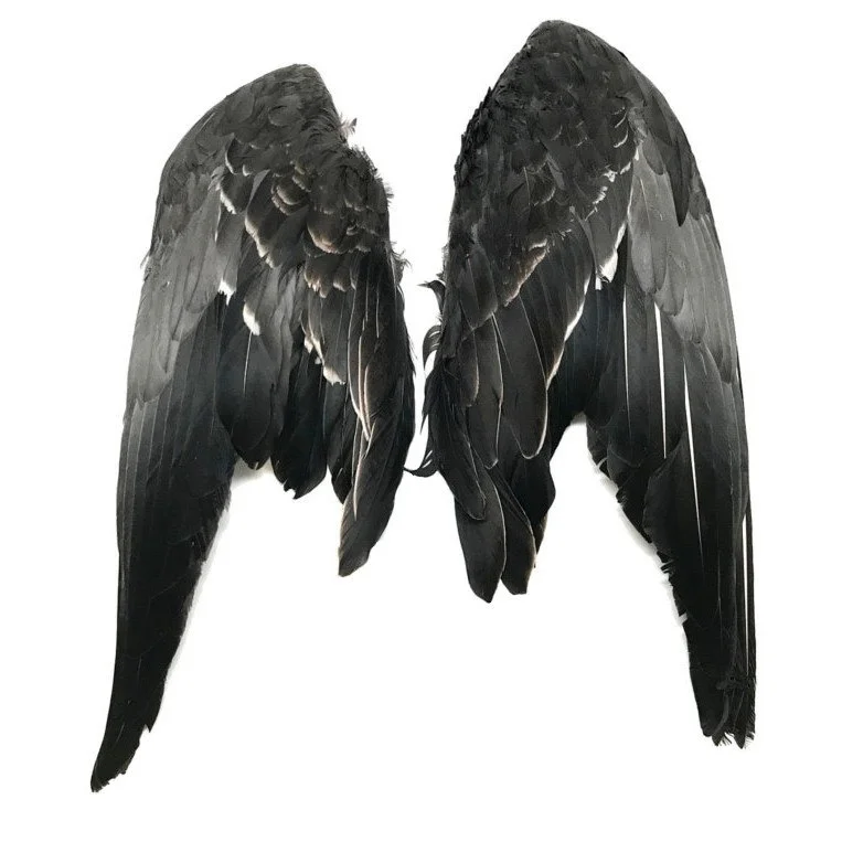 Complete Gray Goose Wings - per pair
