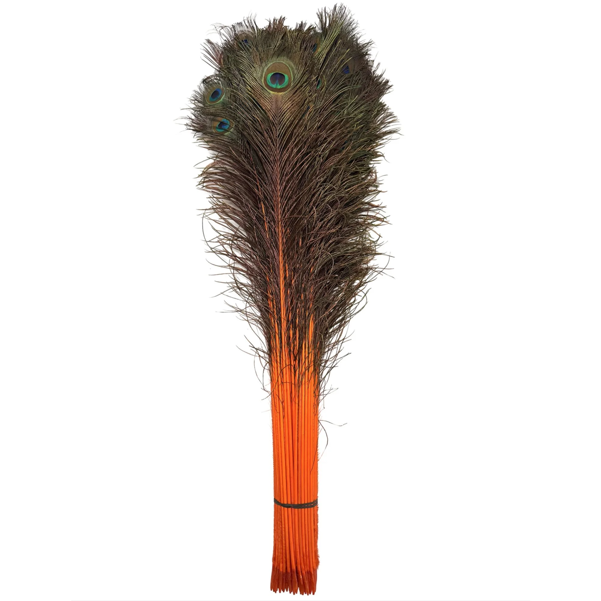 PC30orangea.jpg
