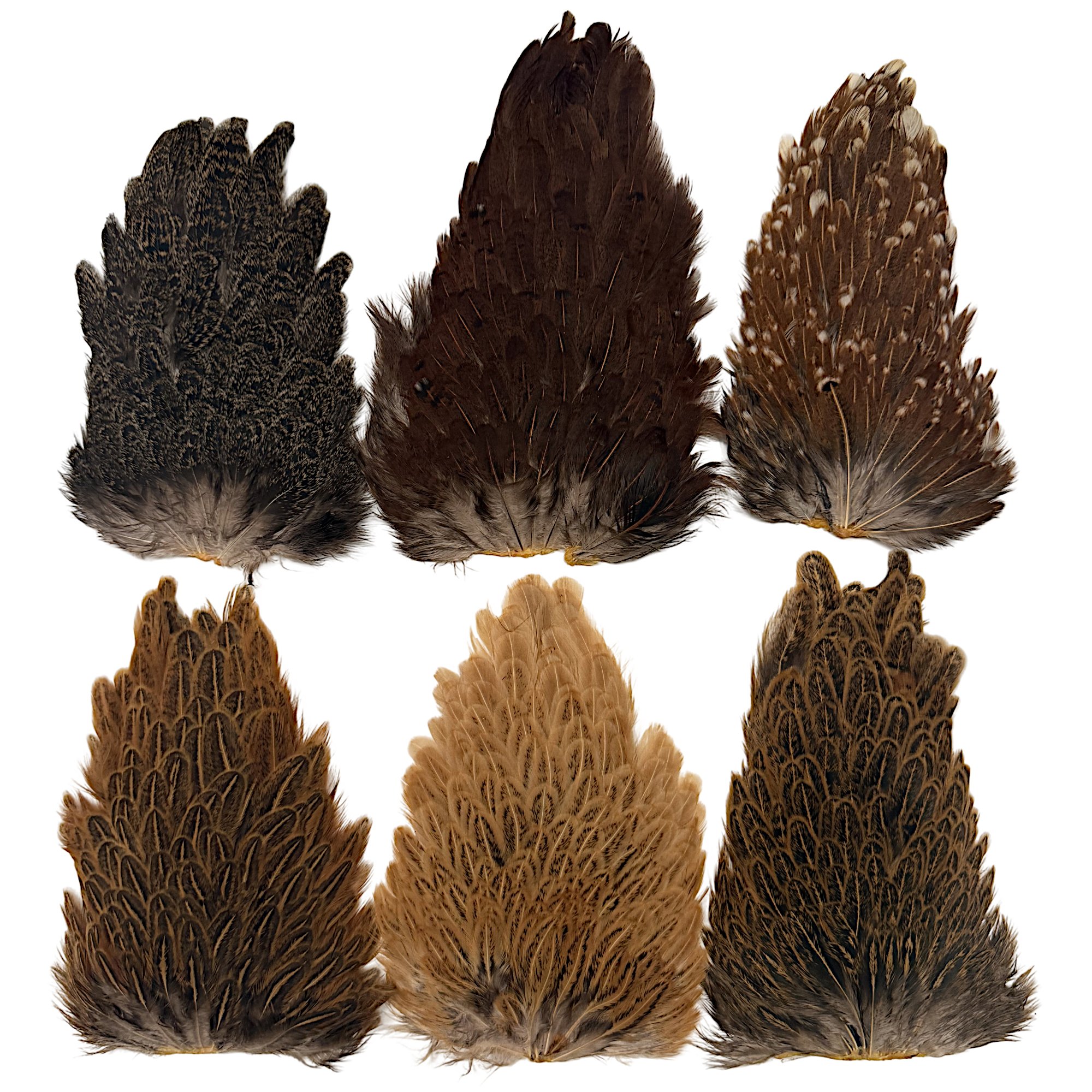 Indian Speckled Hen Backs - Mixed Colors