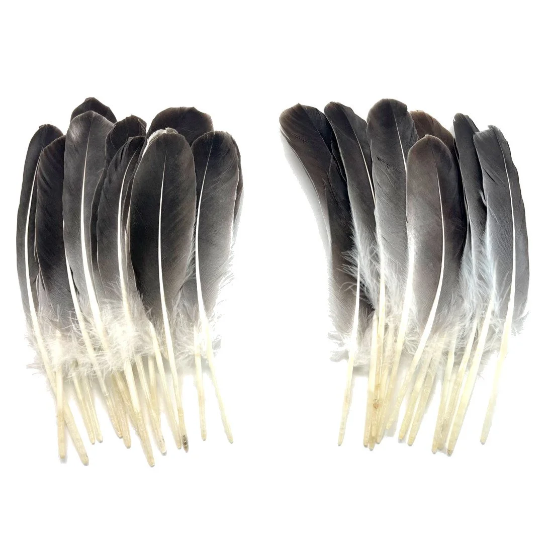 Goose Rounds 6-8" Natural Gray