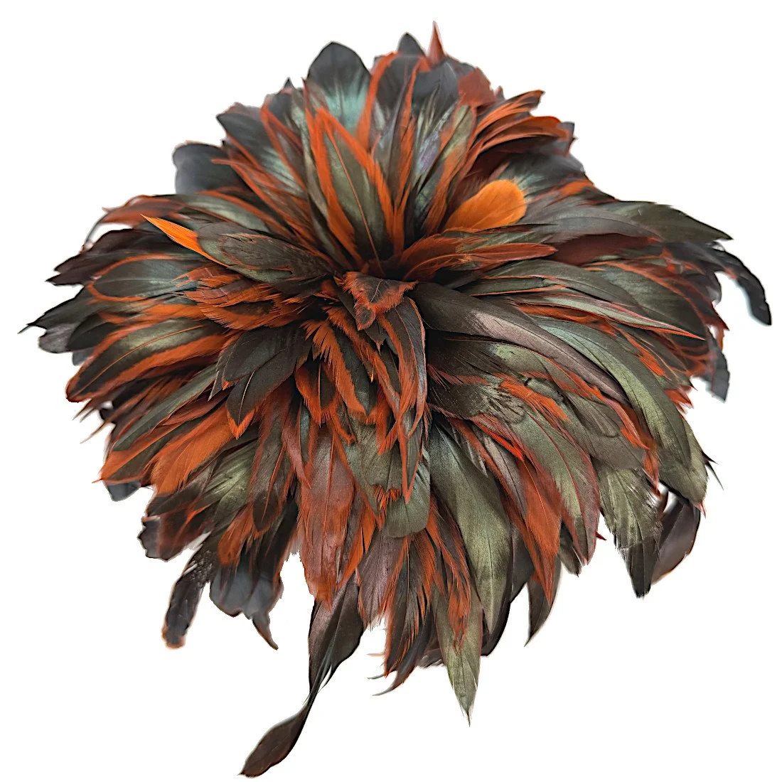 Strung Half Bronze Rooster Schlappen 5-7" Dyed Orange