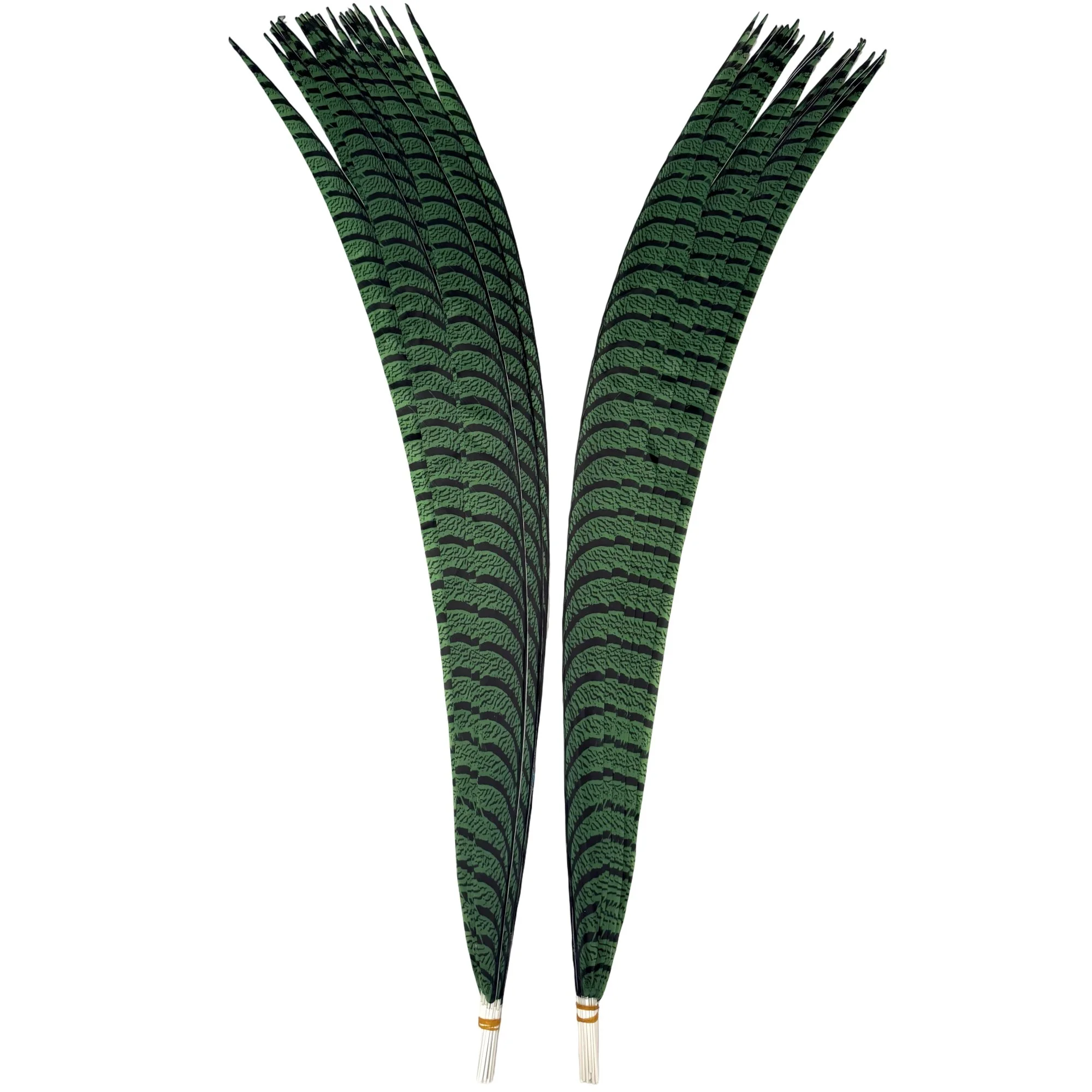 FFamcgreena.jpg