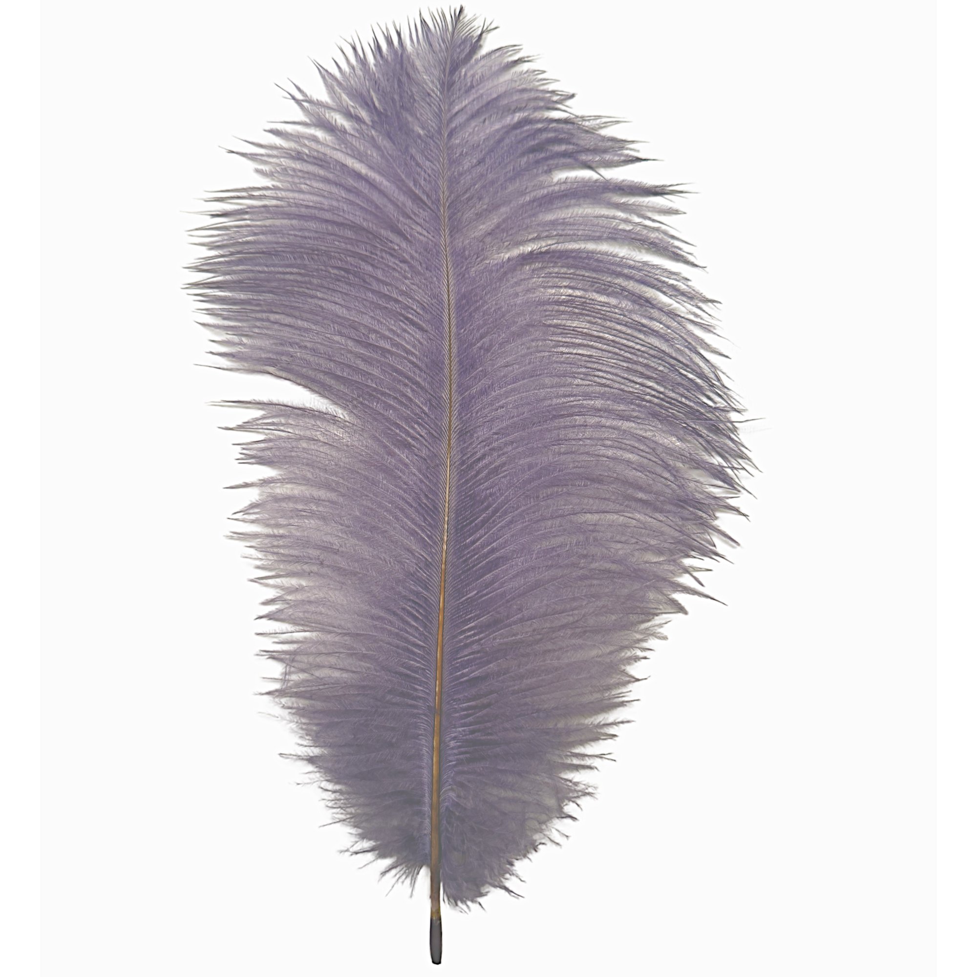 9-13" Ostrich Drabs Dyed Amethyst