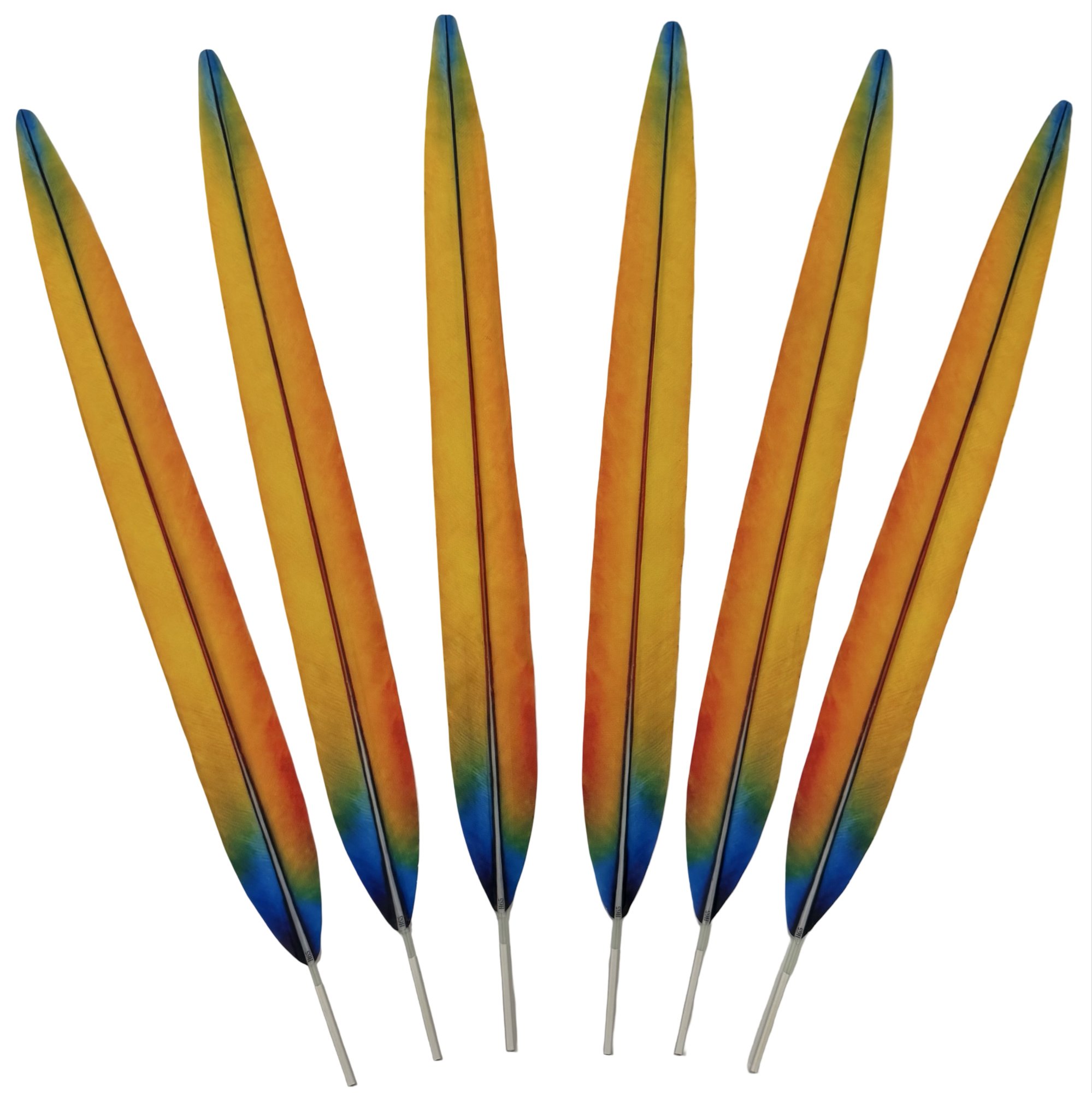 Synthetic Harlequin Macaw Tail Centers 25" - EACH