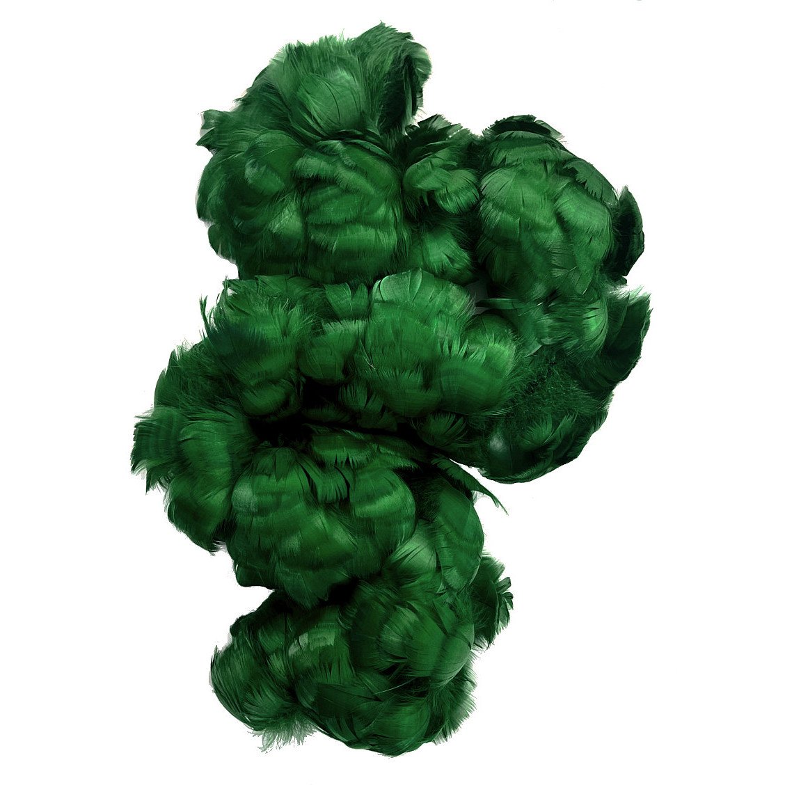 Goose Coquille Feathers 2.5-4" Dyed Dark Green