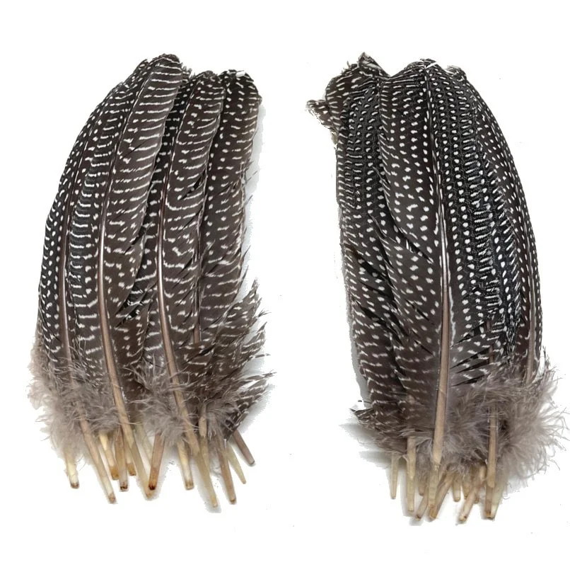 Guinea Fowl Wing Quills (Rounds ) per 100
