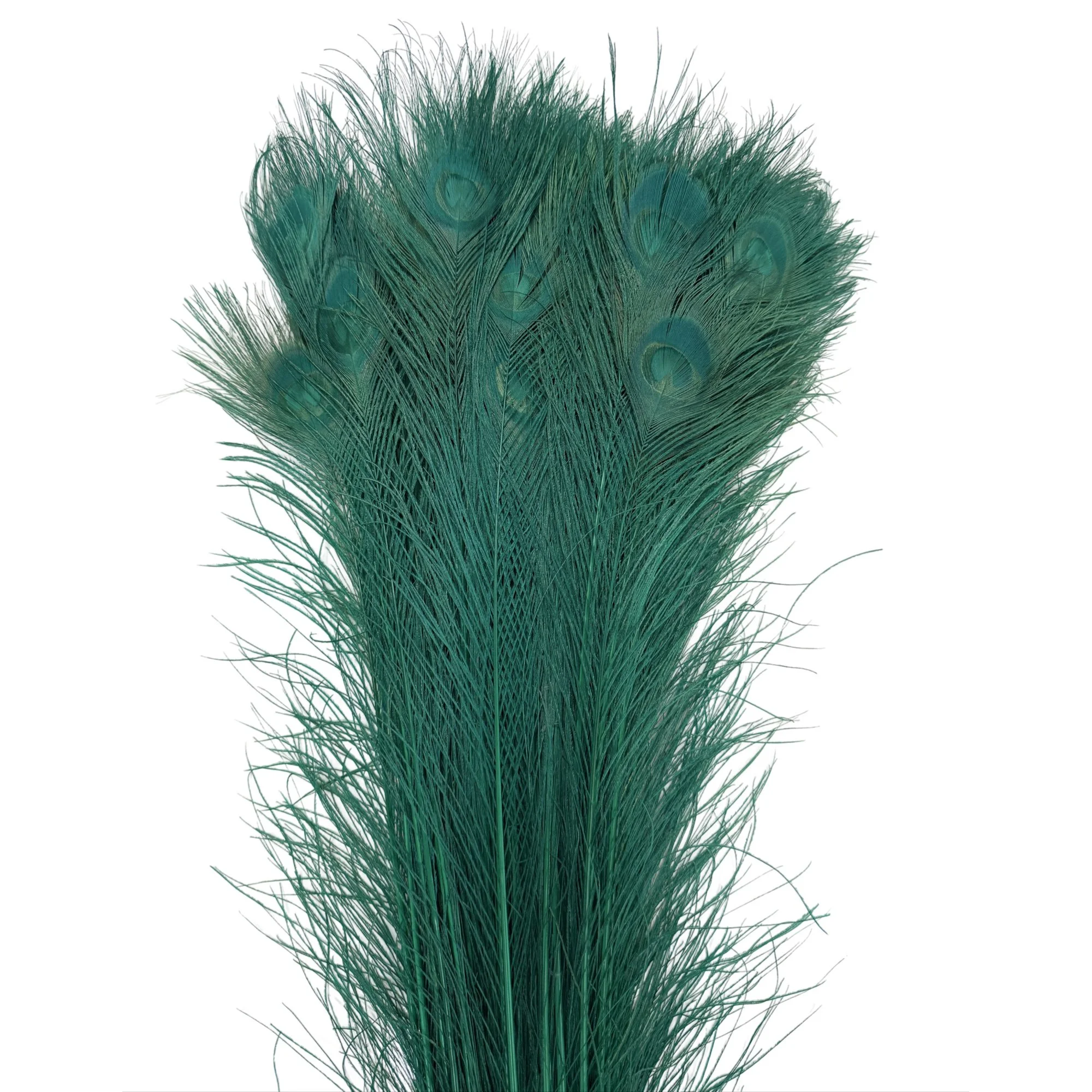 PC35bgreenb.jpg