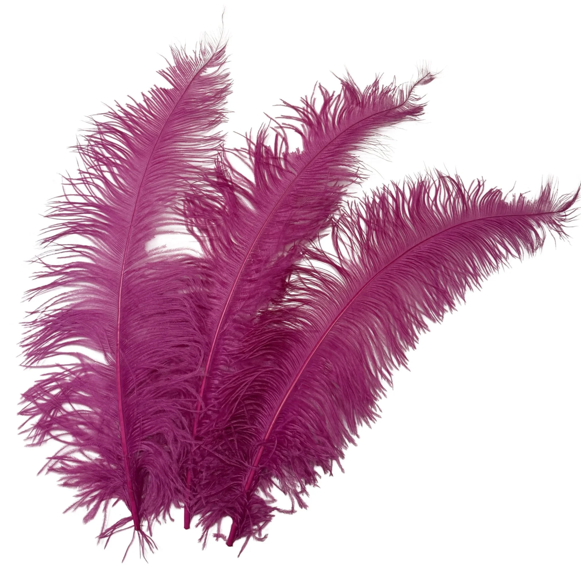 25-32" Ostrich Spads Dyed Light Burgundy
