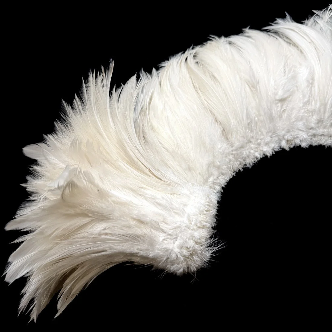 SCNHwhite63.jpeg (Copy)