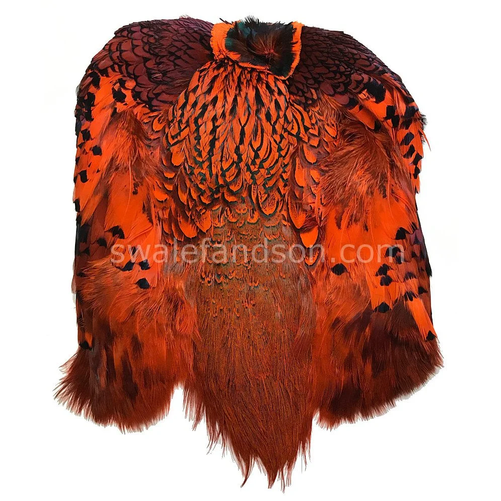 Ringneck Pheasant Pelts, Dyed Orange