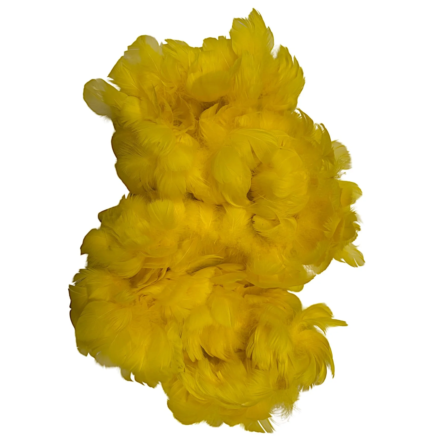 SGCyellow2a.jpg