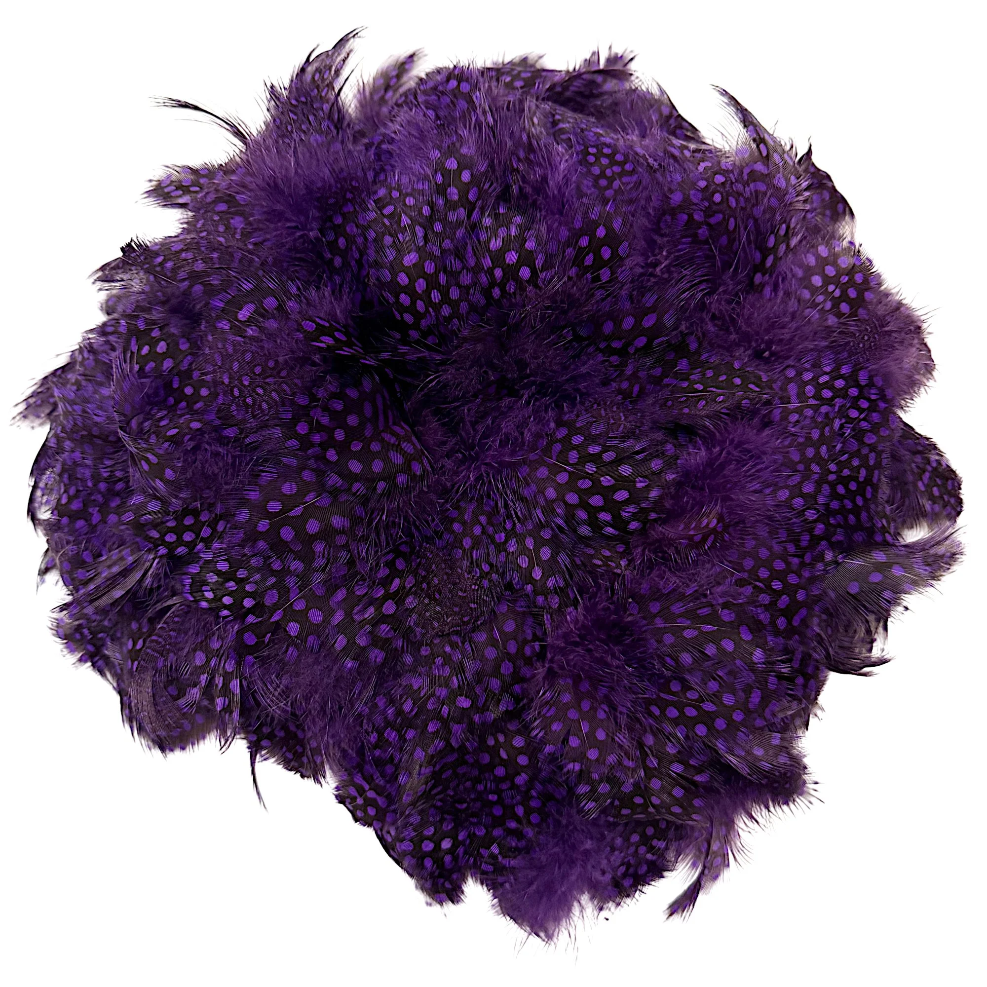 3-6" Strung Guinea Fowl Plumage with Large Eyes Dyed Purple