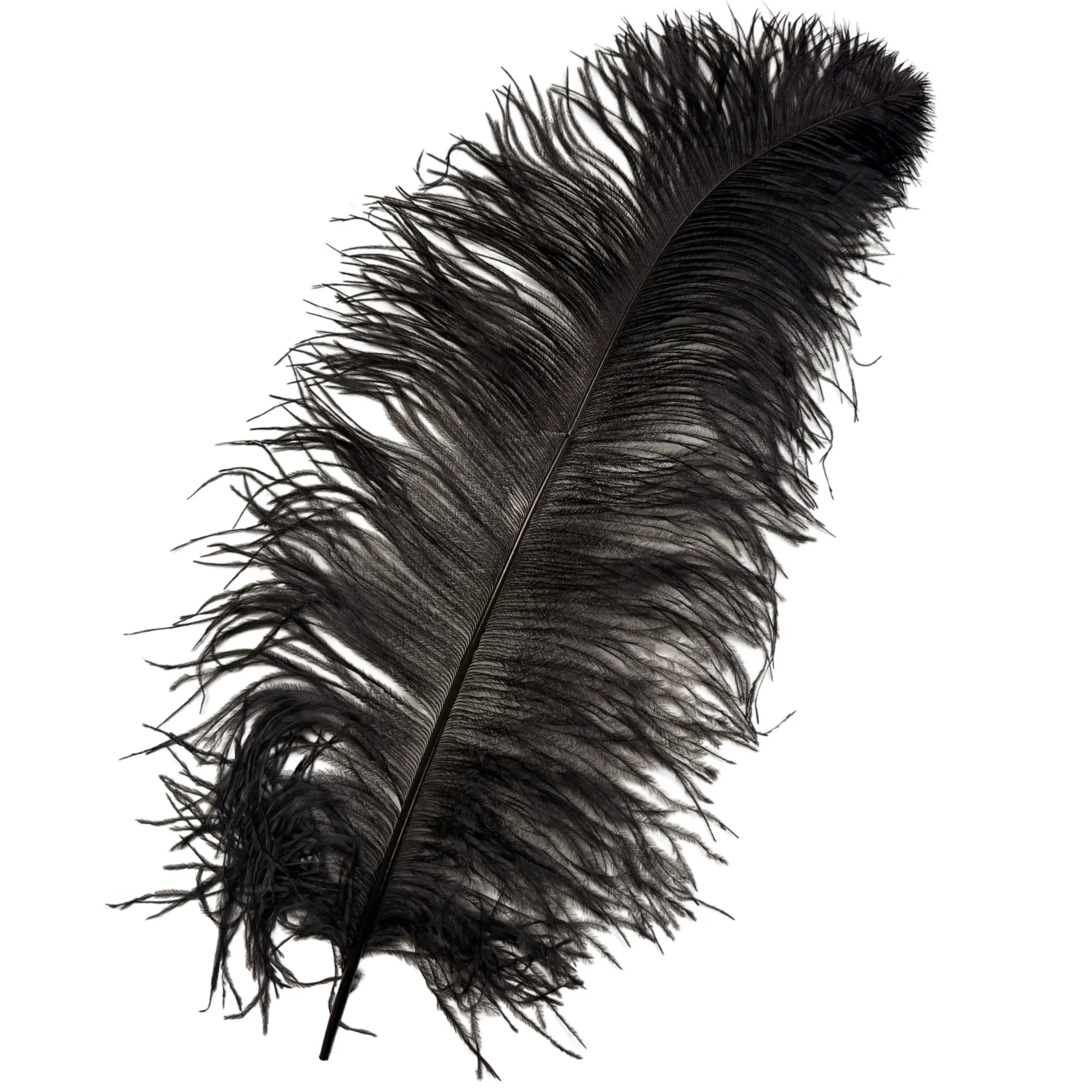 #1 Grade 25-29" Ostrich Wing Plume Feathers - Dyed Black