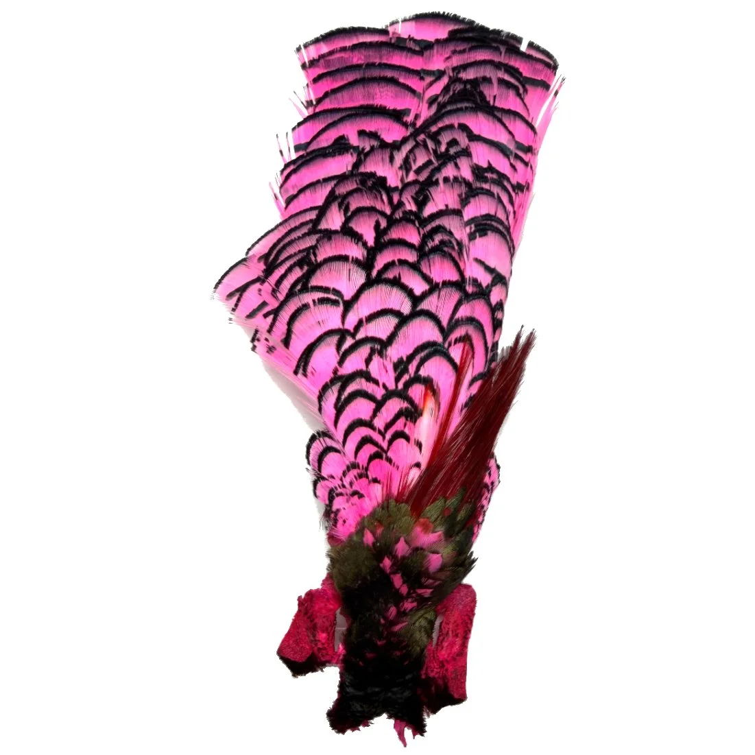 Lady Amherst Pheasant Crowns #1 Grade Dyed Pink - each
