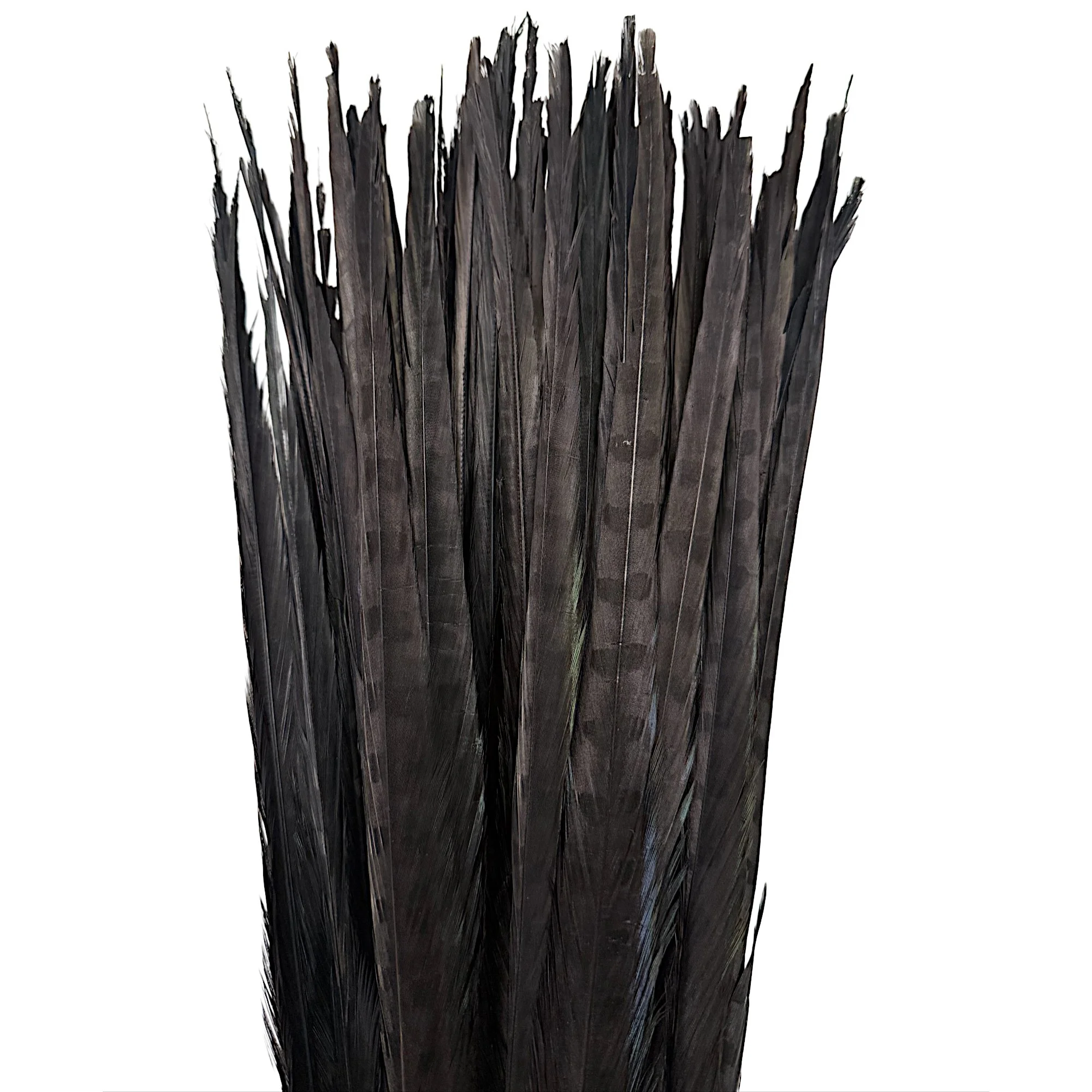 Ring22black2b.jpg