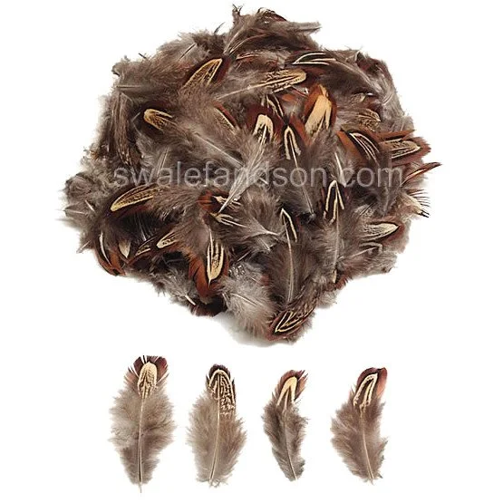 Ringneck Pheasant Almonds, Loose