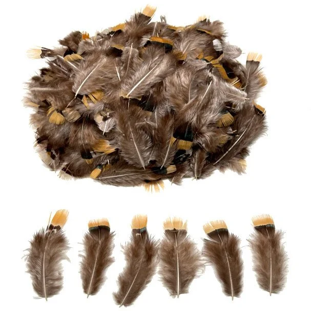 Lady Amherst Pheasant Yellow Plumage 2-3"