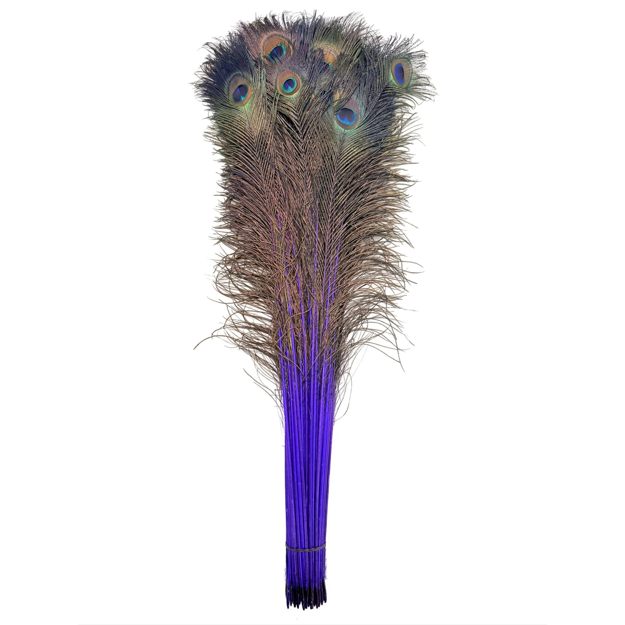 PC30purpa.jpg