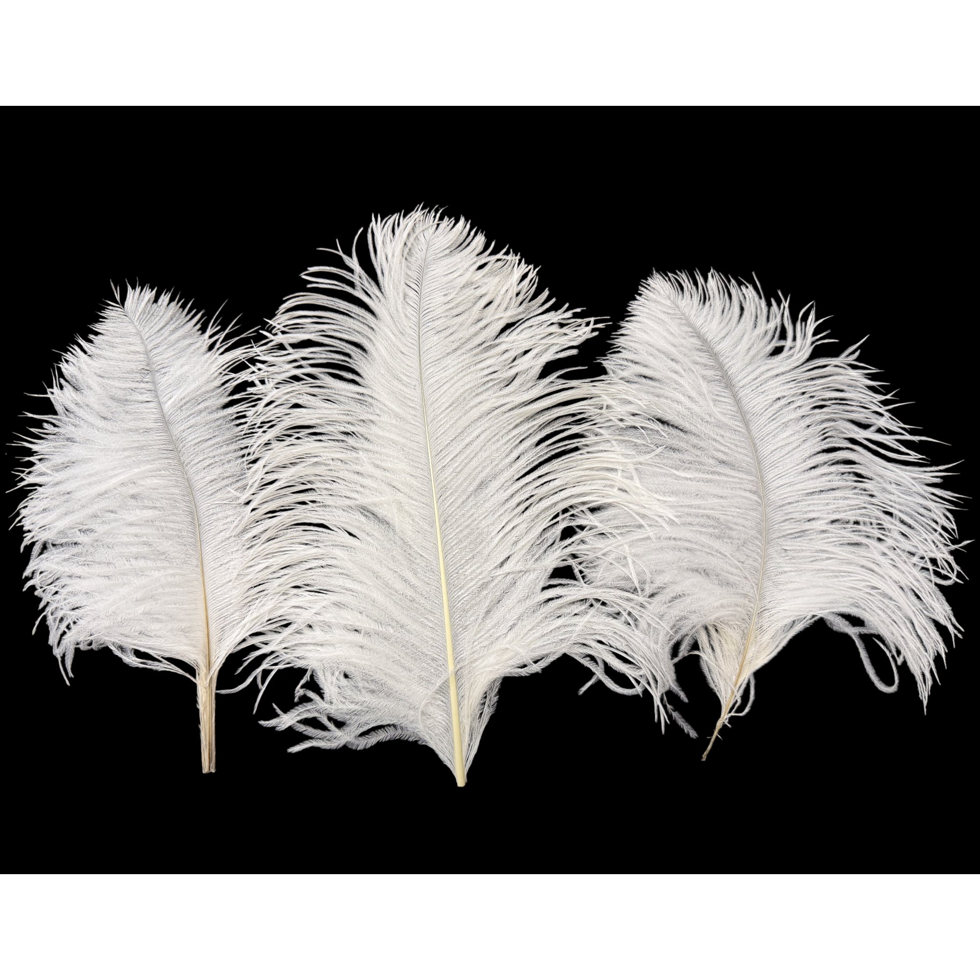 Ostrich Wing Tips 9-13" Bleached Bright White