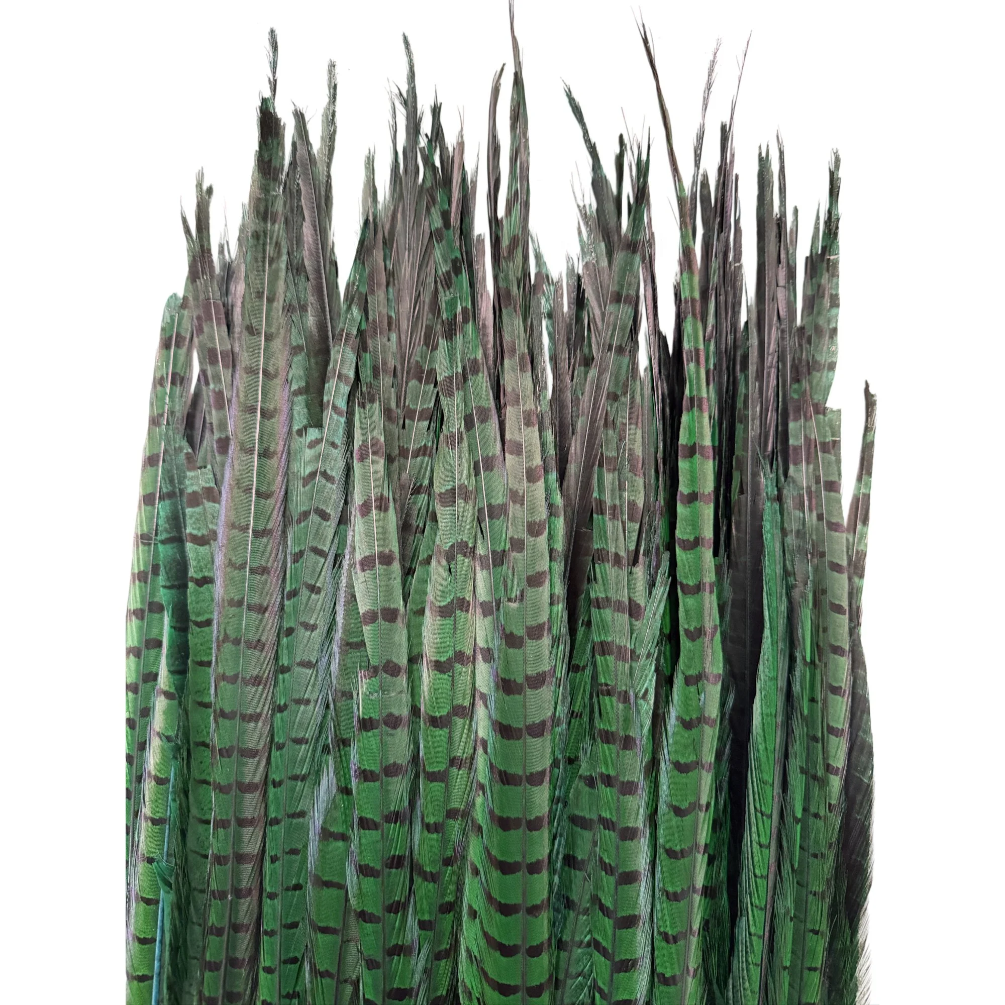 Ring2greenc.jpg