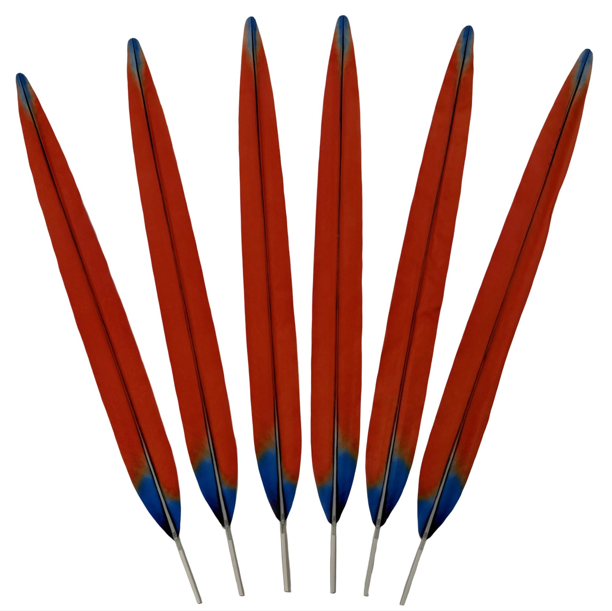 Synthetic Scarlet Macaw Tail Centers 25" - EACH