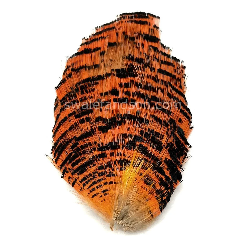 Whole Golden Pheasant Tippet Section