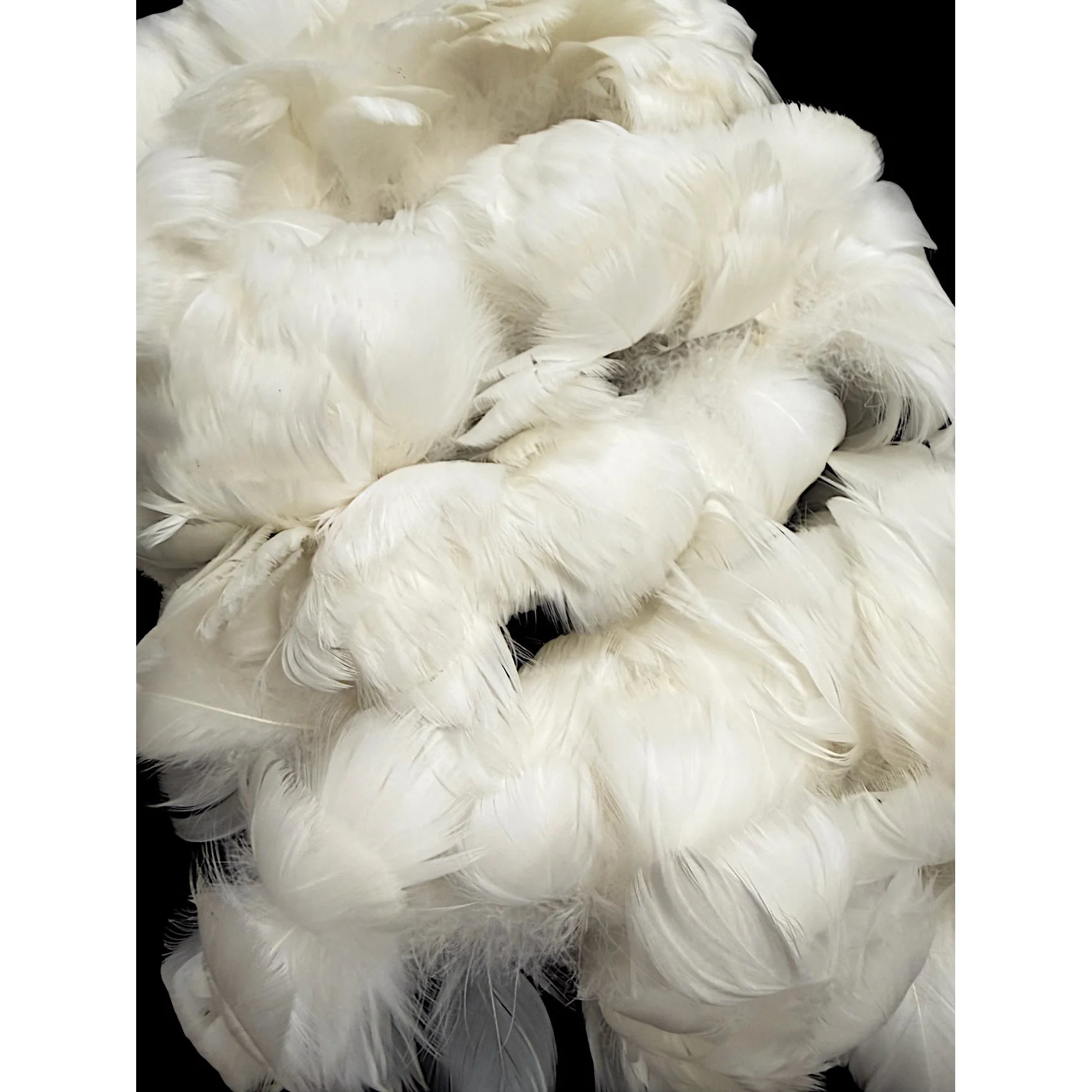 #2 Quality Goose Coquille Feathers 2.5-4" Natural White