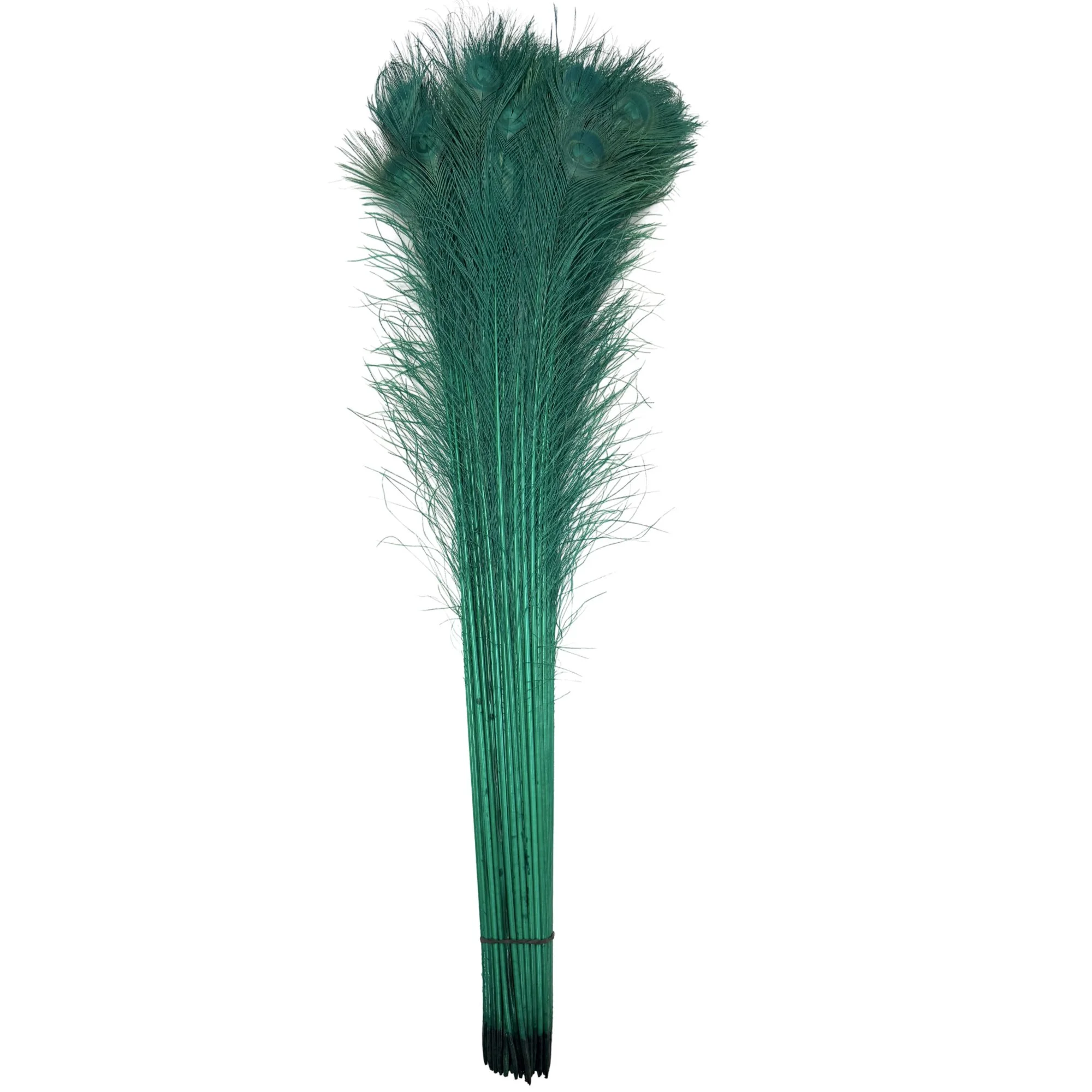 PC35bgreena.jpg