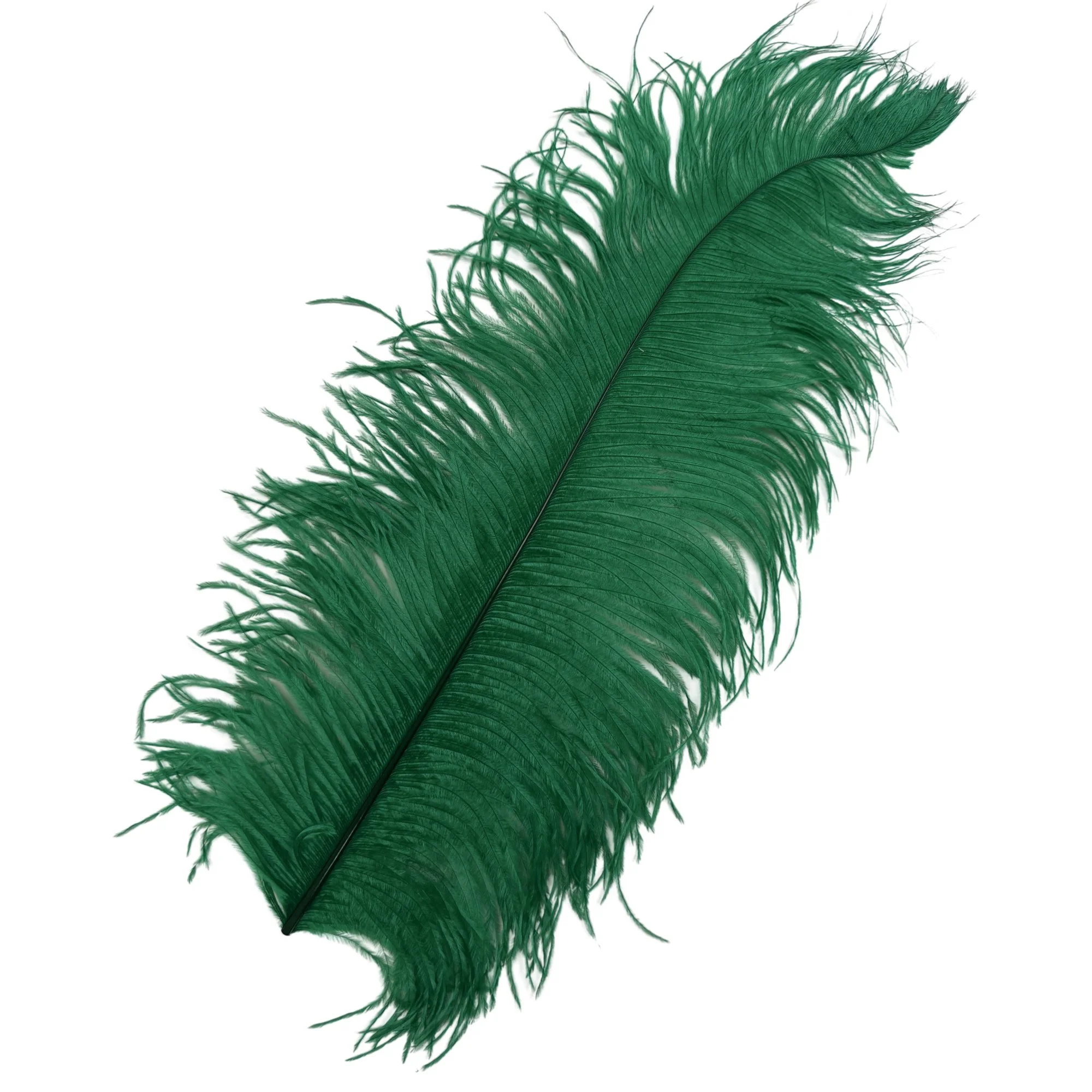 #2 Grade 18-24" Ostrich Wing Plume Feathers - Green