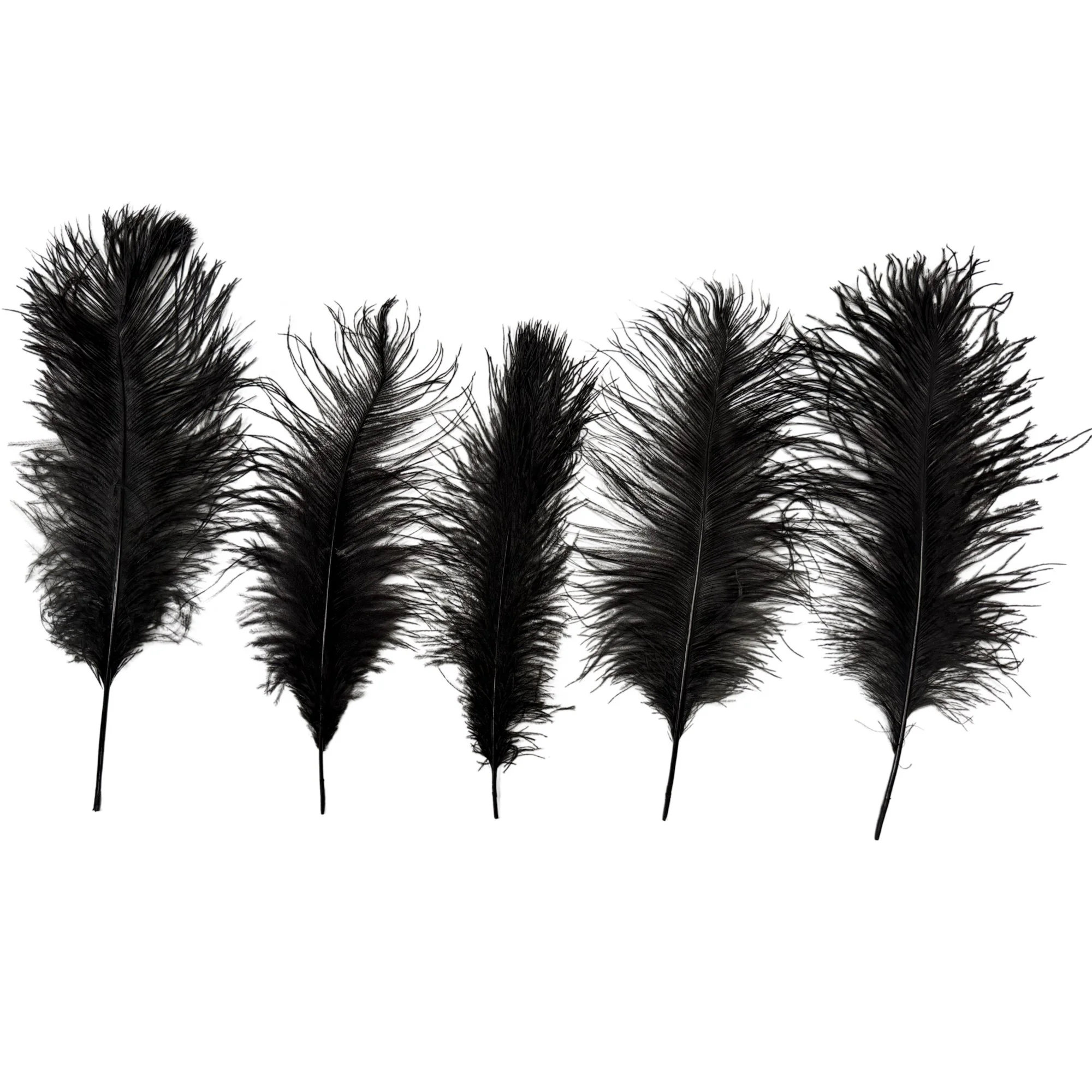 OD16black2c.jpeg