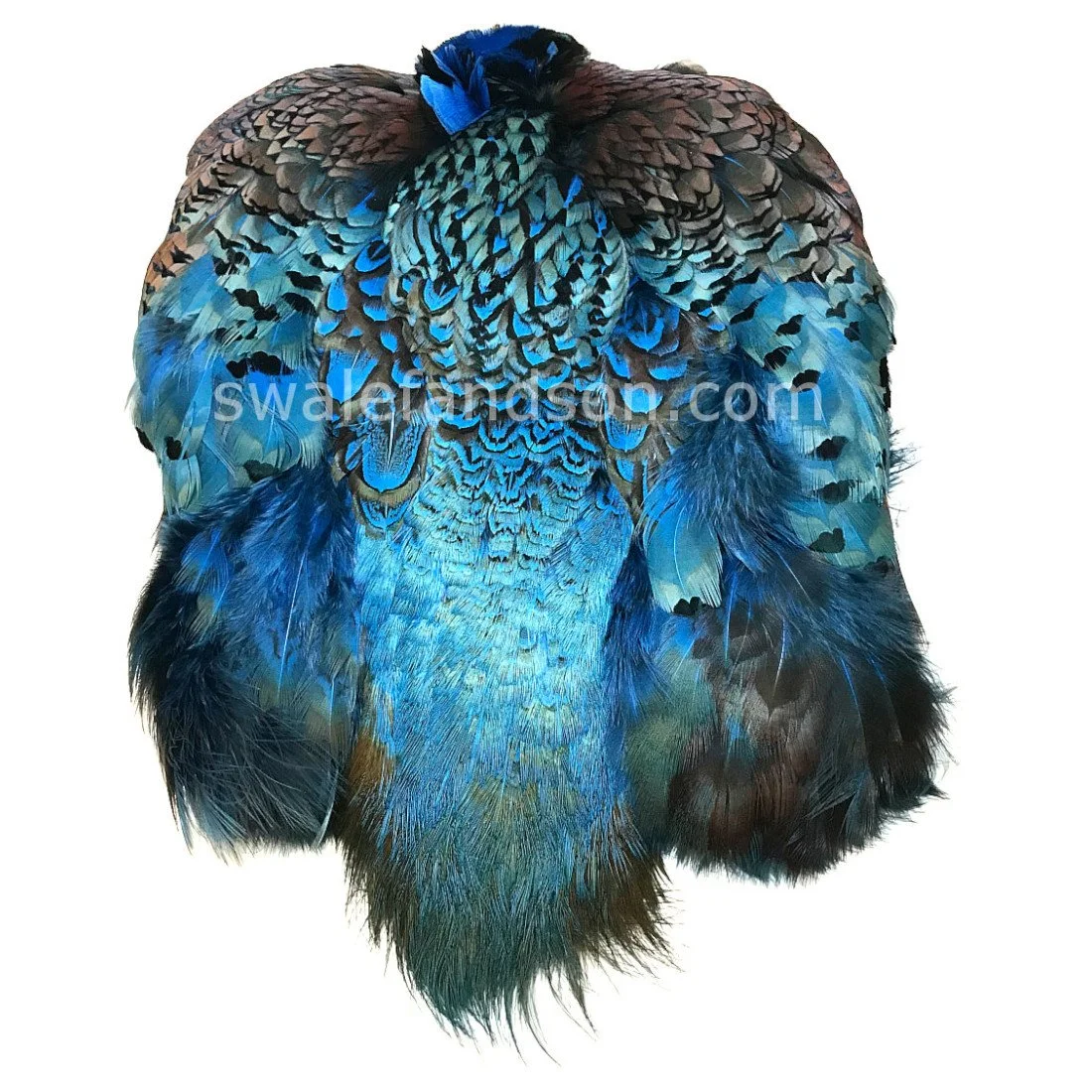 Ringneck Pheasant Pelts, Dyed Blue