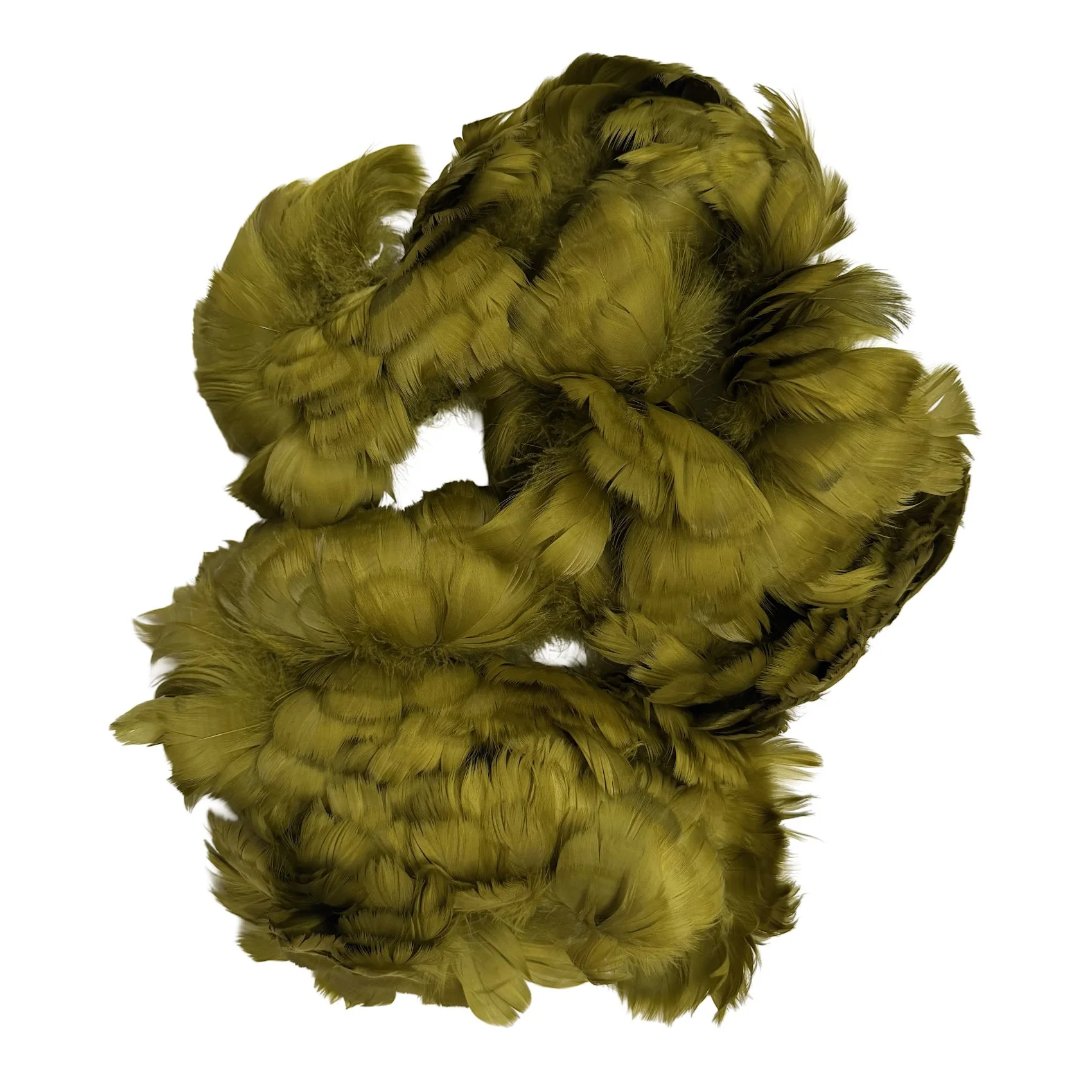 Goose Coquille Feathers 2.5-4" Dyed Olive