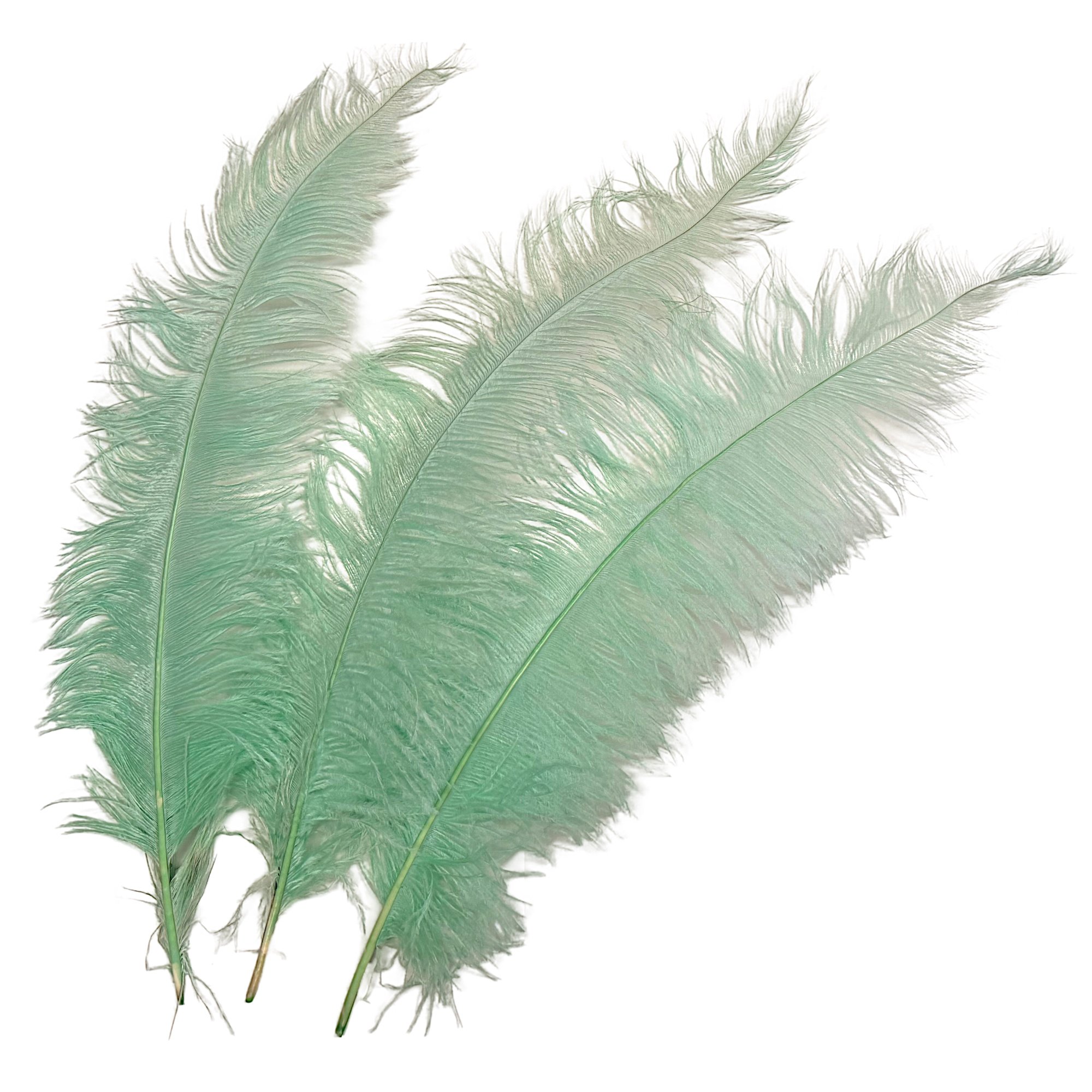 25-32" Ostrich Spads Dyed Mint