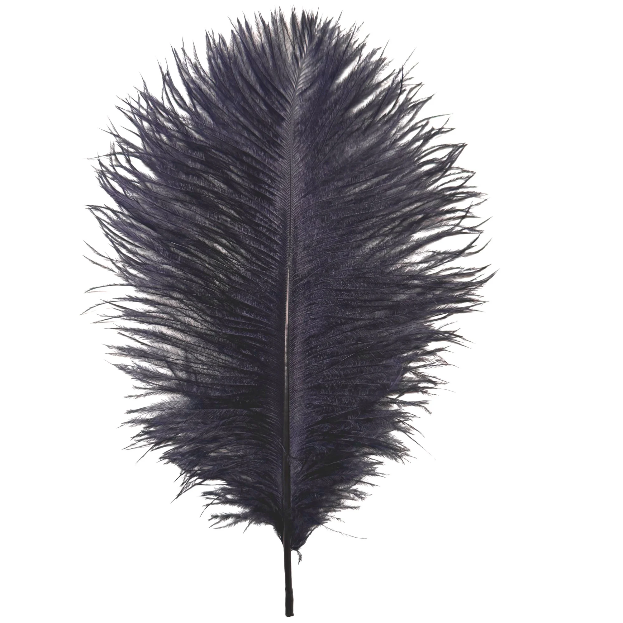 9-13" Ostrich Drabs Dyed Navy Blue
