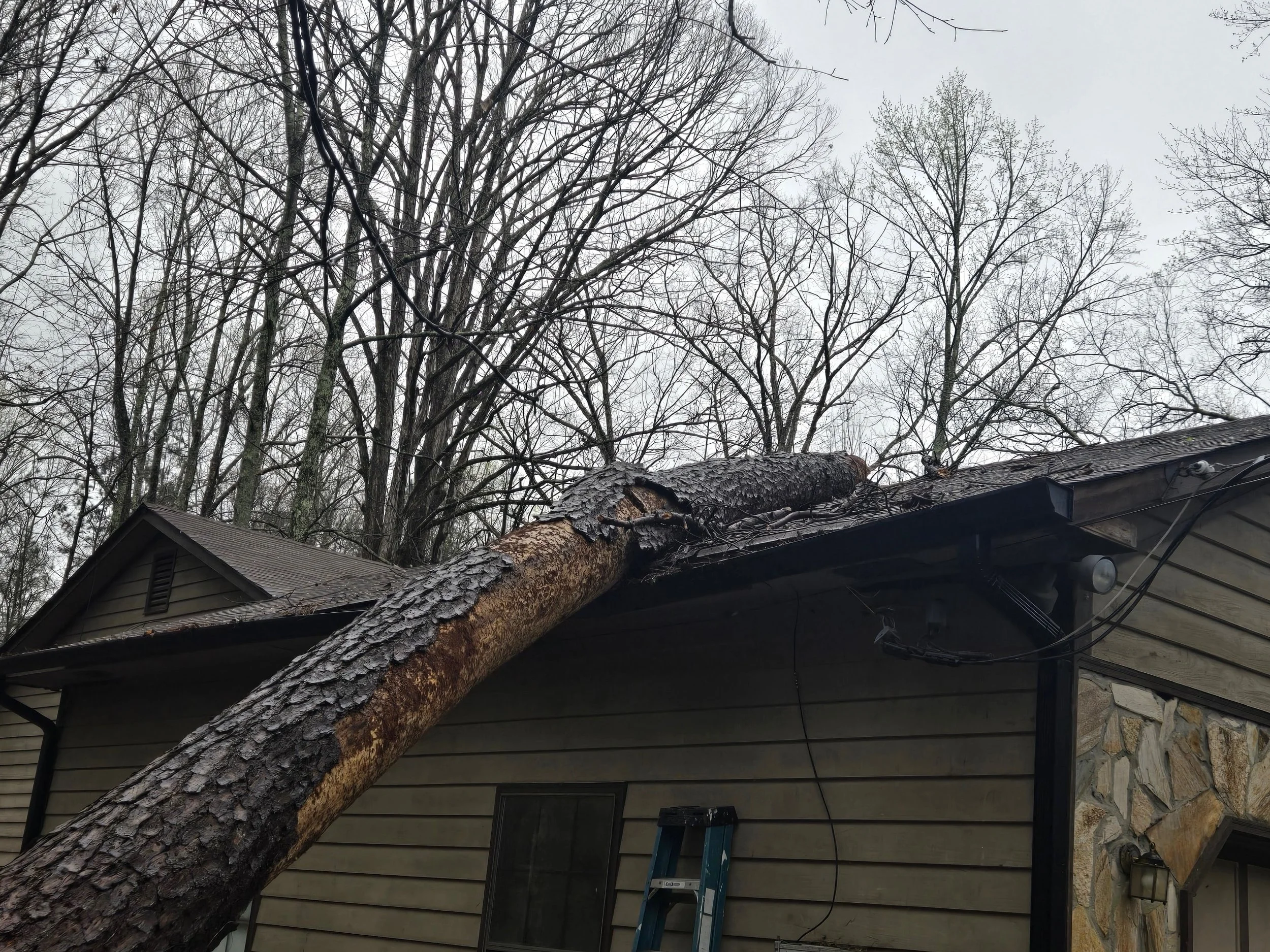 Trees fell on an outbuilding during a storm. 