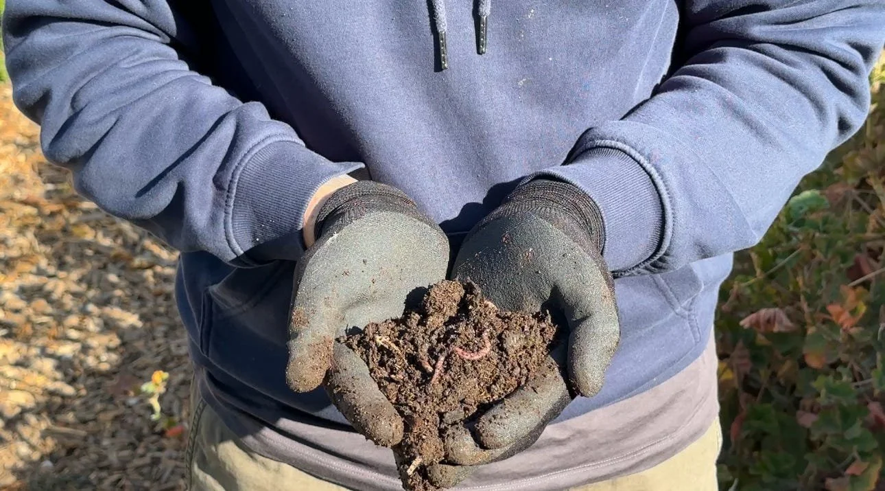 The Power of Composting