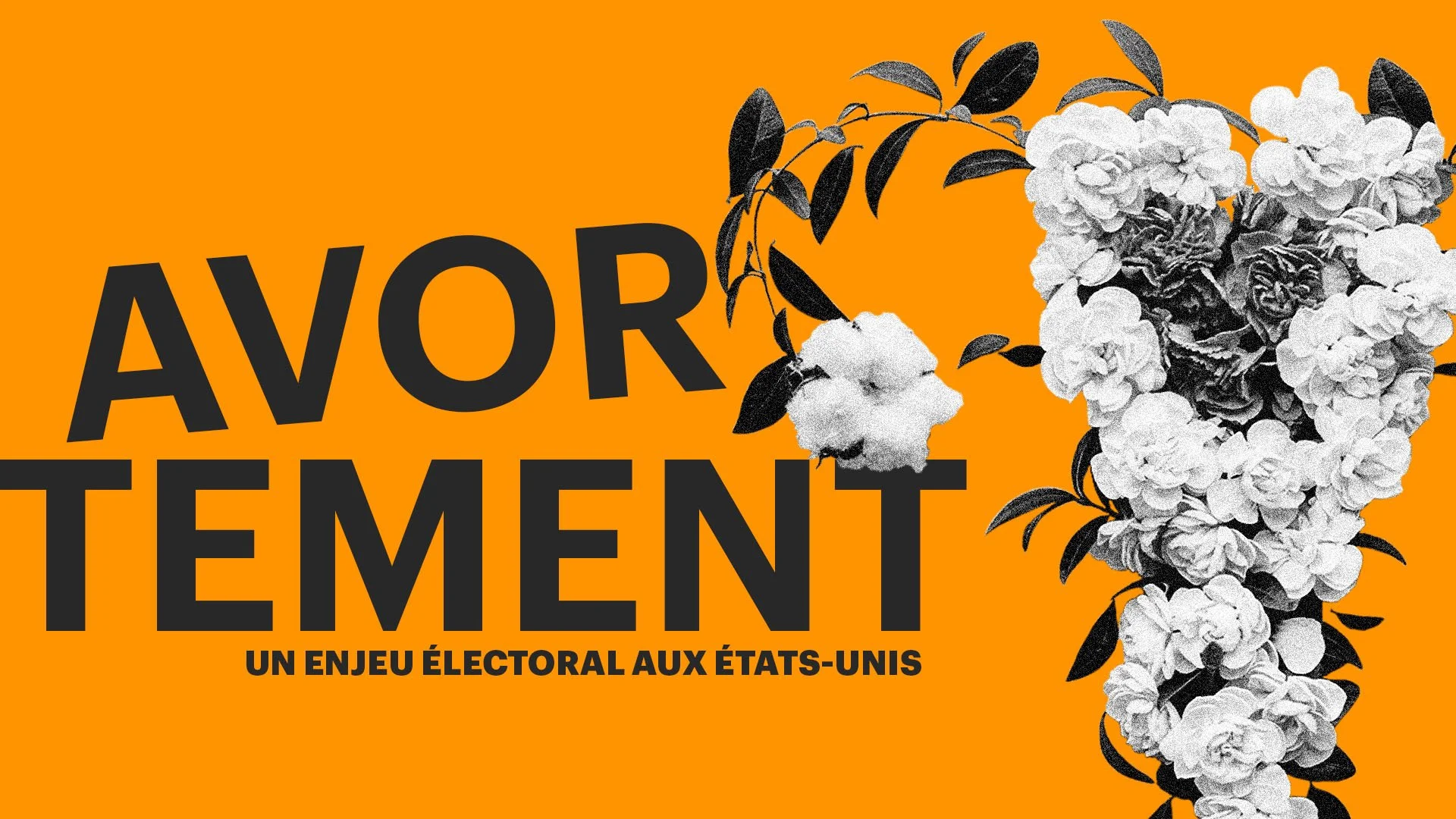 Comment l'interruption de grossesse est-elle devenue un enjeu électoral aux États-Unis?