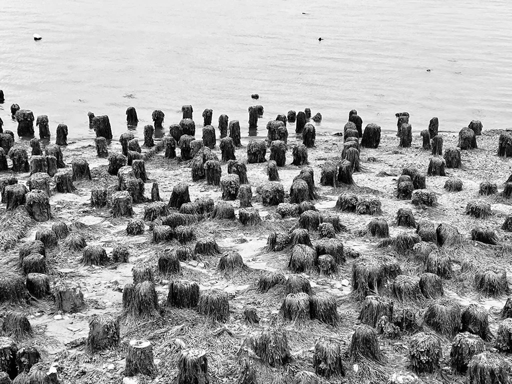 L-RC-Sm-Sc-pier-posts-BW.jpg