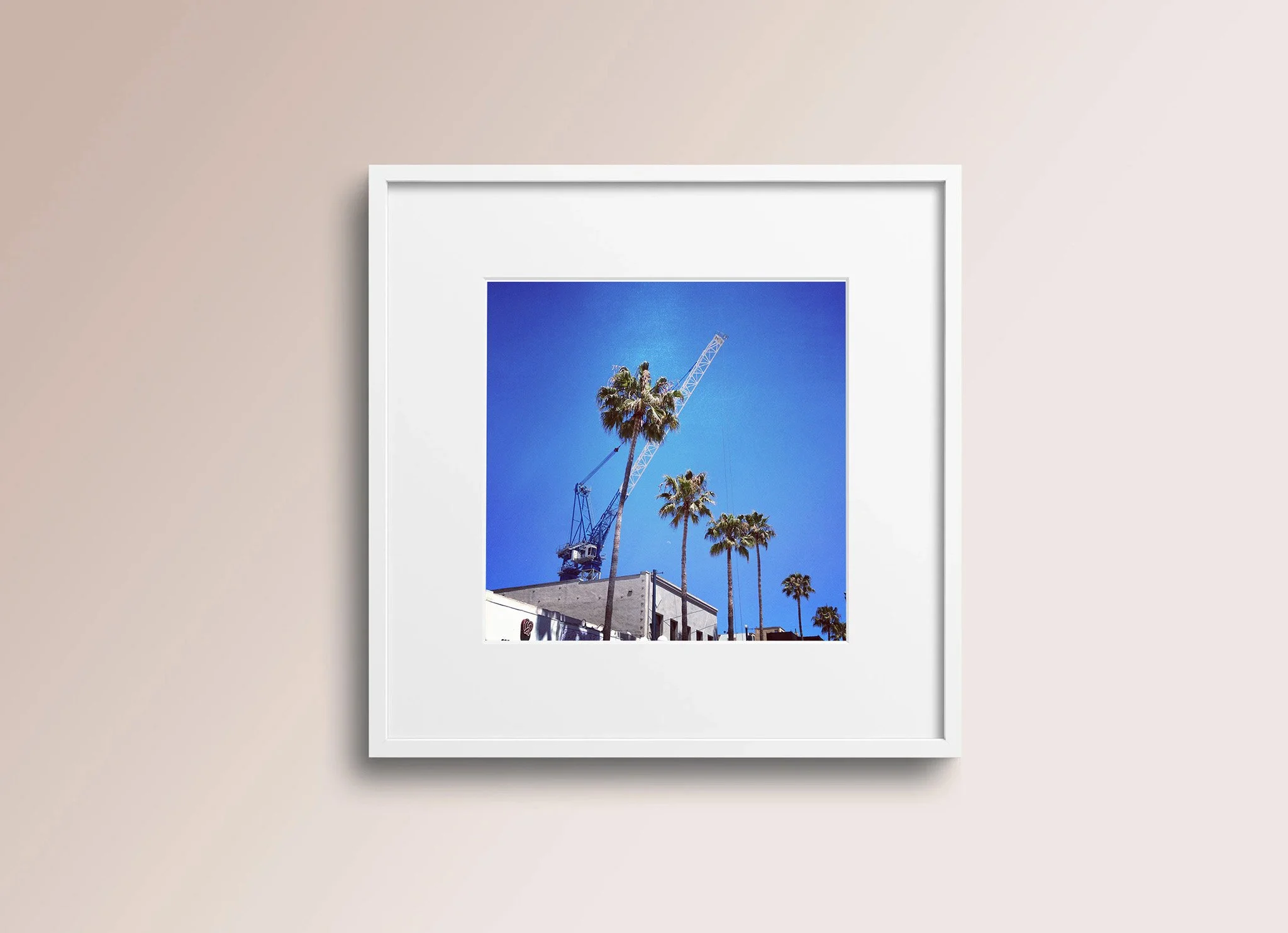 The Palm Crane