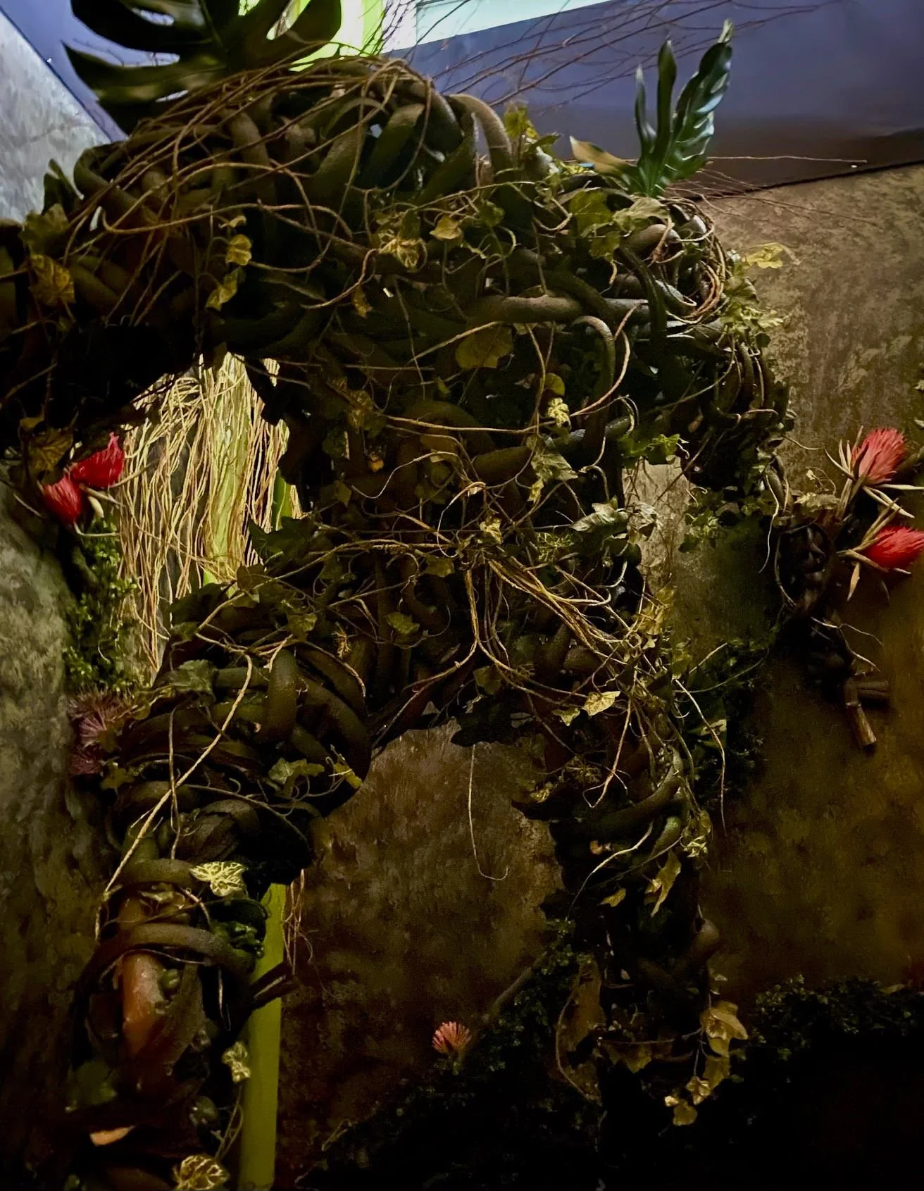 Dead Vines Haunted House at SeaWorld Orlando