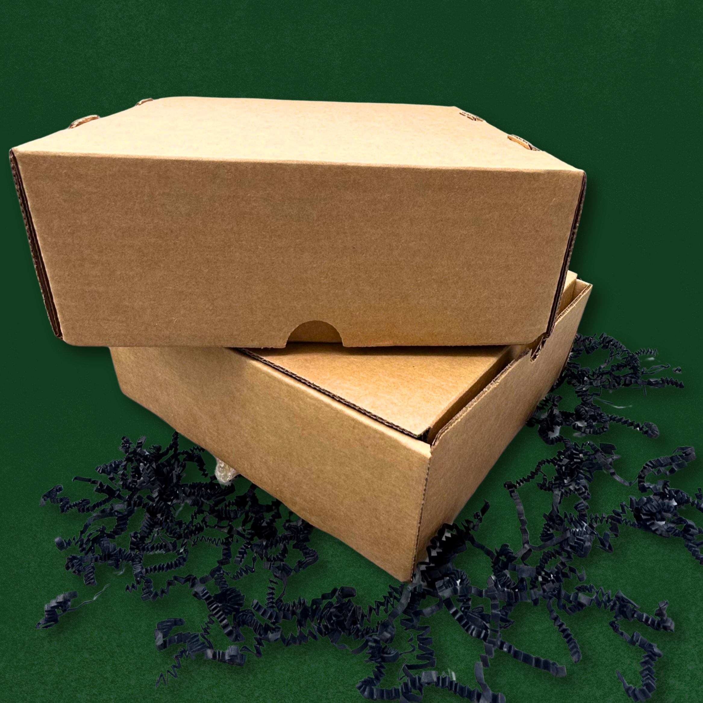 Untitled+design+%2819%29.png