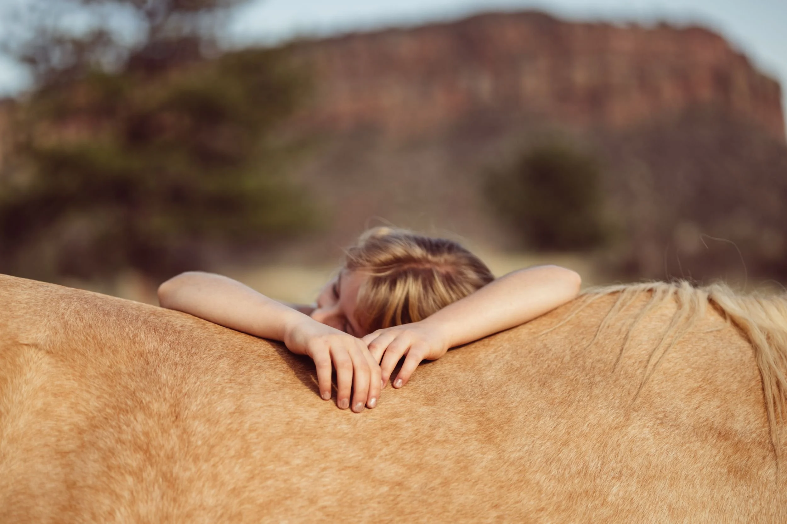 processed_Sarah%2BHorses_1754.jpeg