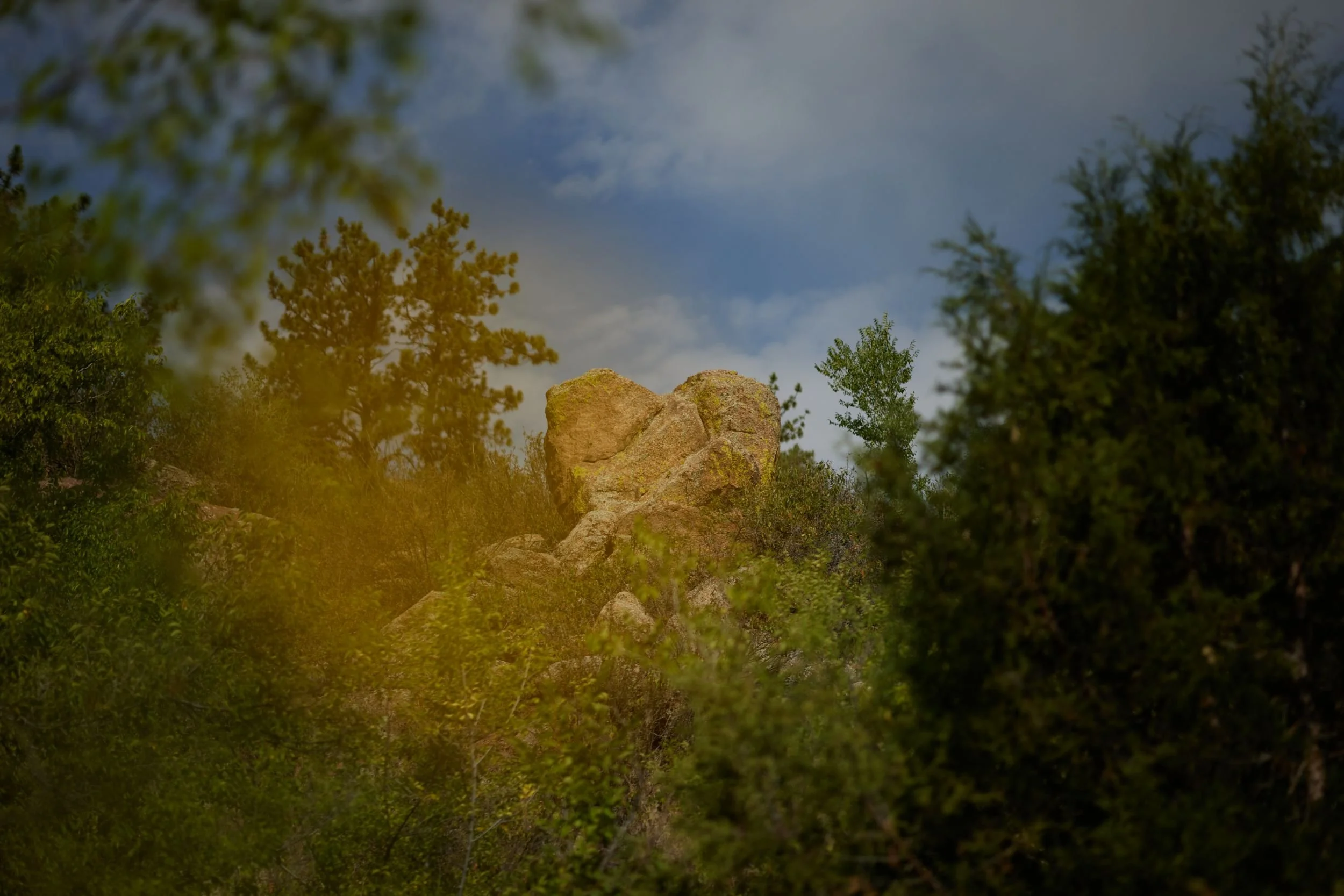 processed_SarahHollinsheadRanch_CJ_796.jpeg