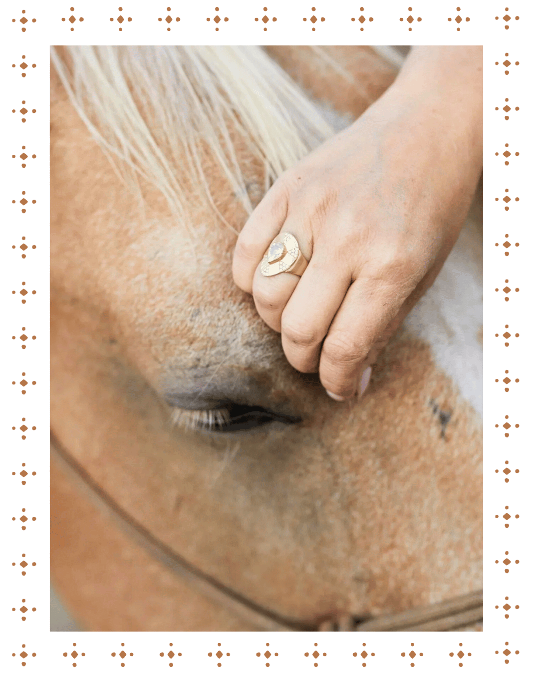 A hand with a gold ring gently touching the nose of a horse that has a white mane and light brown fur.