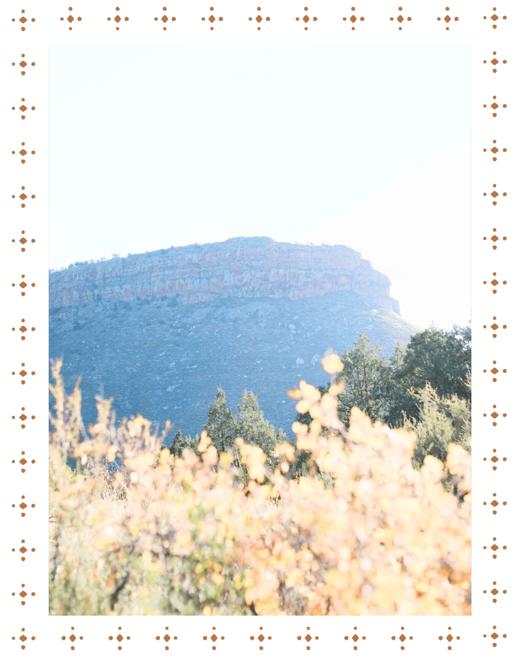 A mountain with a flat top rising behind a forest of trees and wildflowers in the foreground.