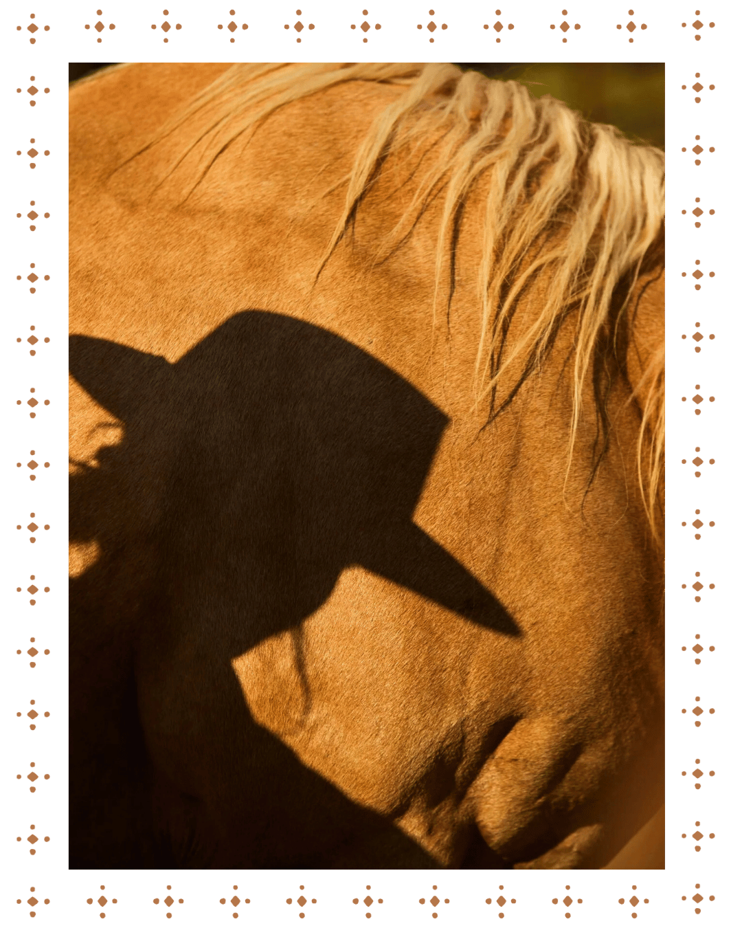 Close-up of a horse's body and mane with shadow cast by a cowboy hat.