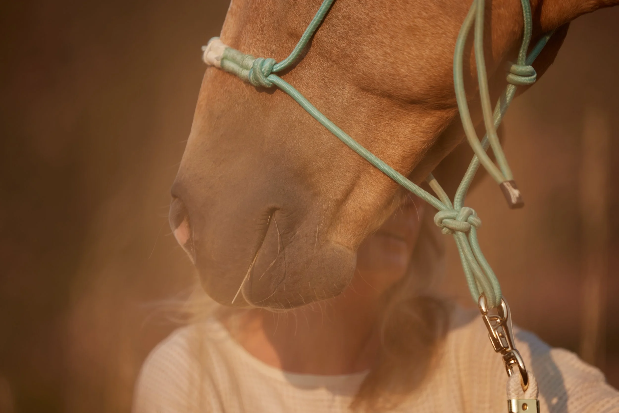 Close-up of a person's face with a horse's head in the foreground. The horse wears a halter, and the person appears to be smiling or concentrating.