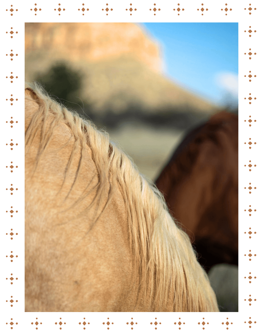 Close-up of a light-colored horse's mane with a blurred background showing another horse's head and a mountainous landscape with blue sky.